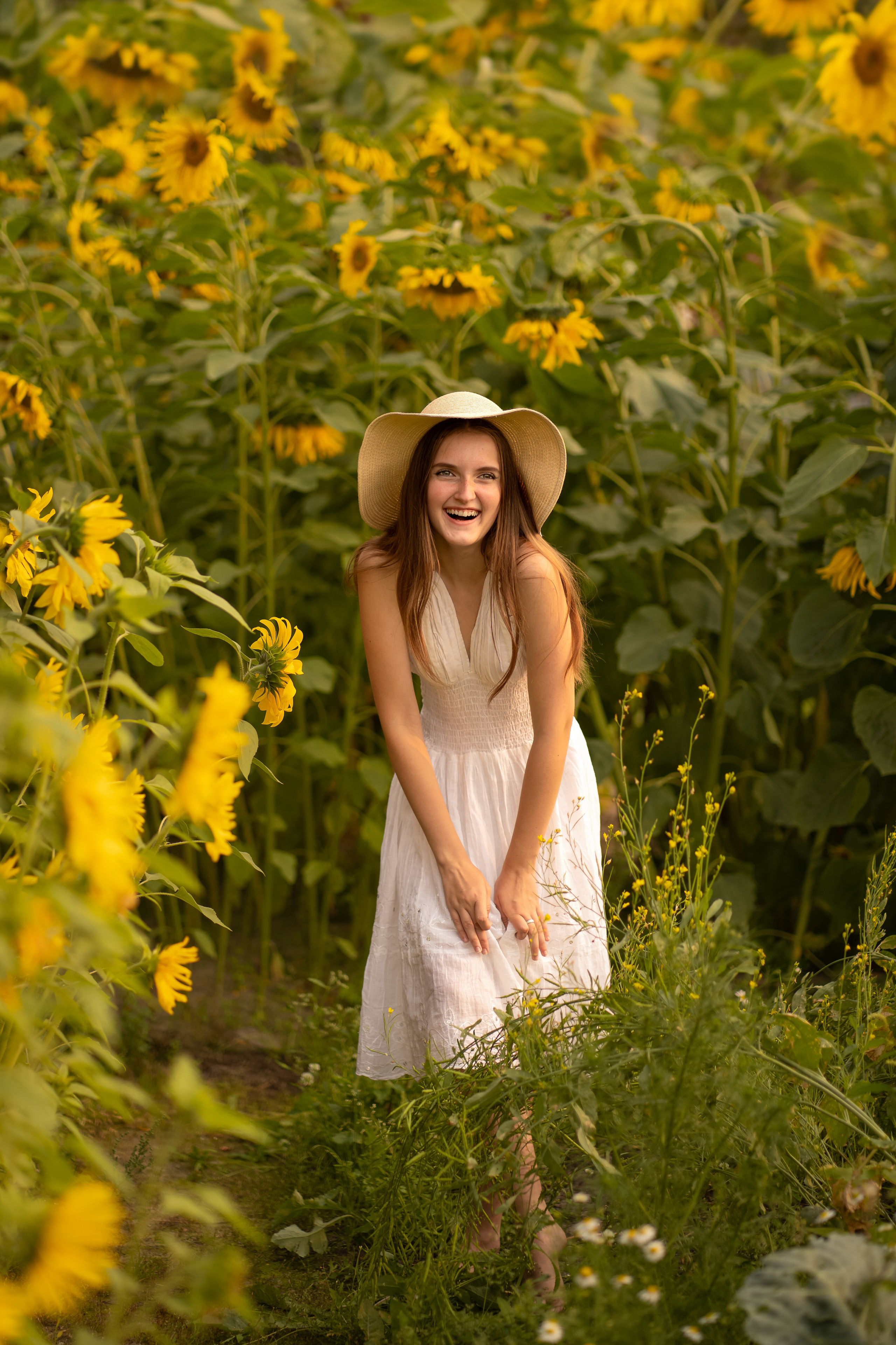 Подсолнухи. Фотограф Татьяна Митрофанова