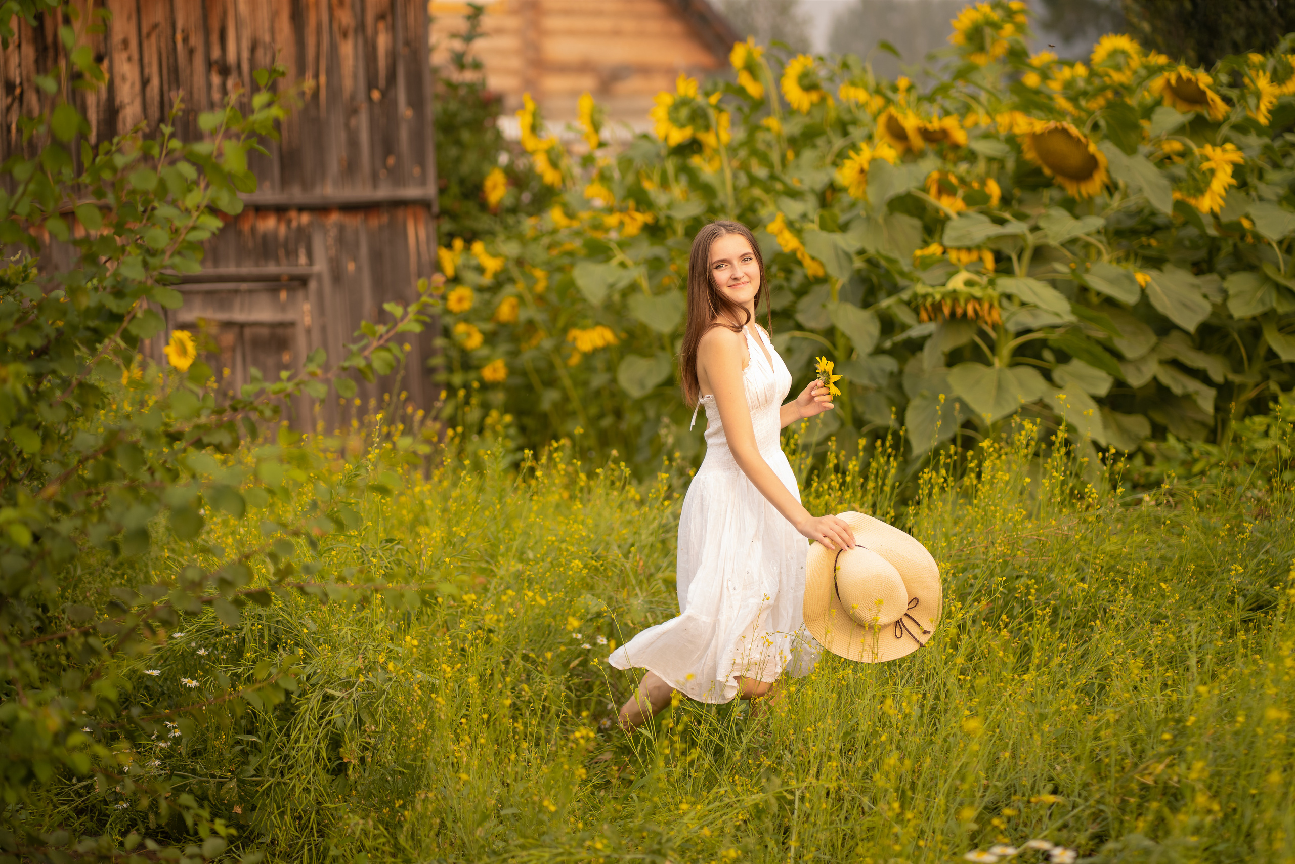 Подсолнухи. Фотограф Татьяна Митрофанова
