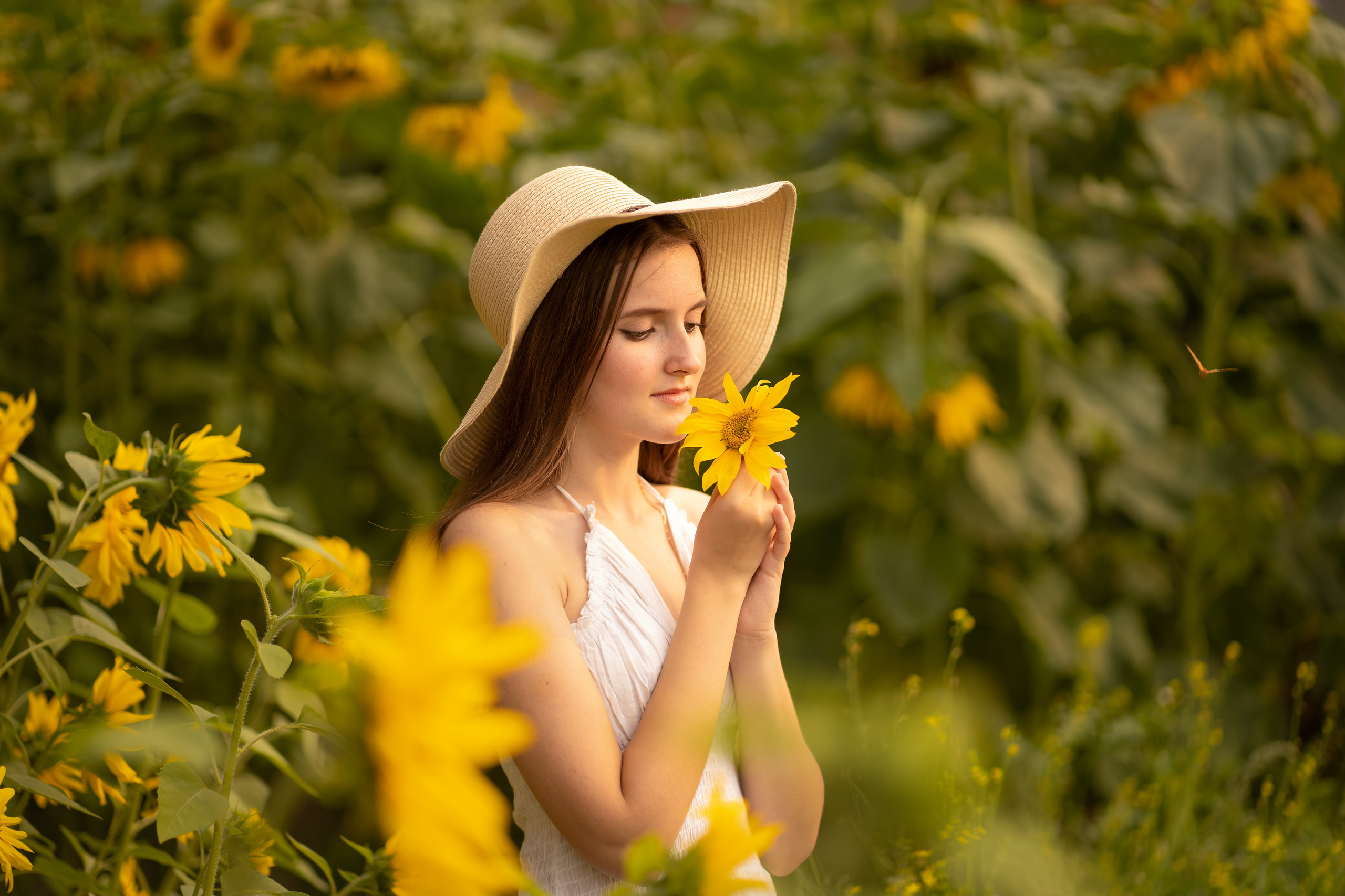 Подсолнухи. Фотограф Татьяна Митрофанова