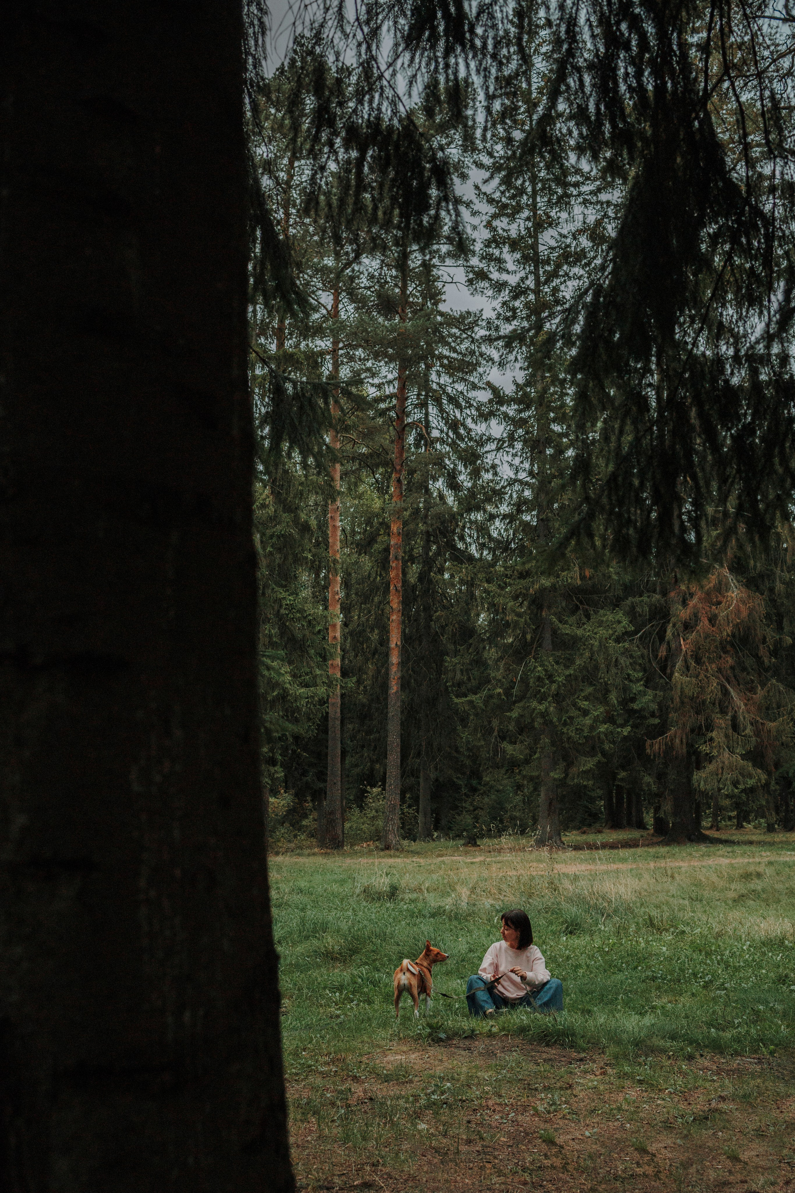 Даша и Лора. Фотограф-анималист в Санкт-Петеребурге Титова Алиса