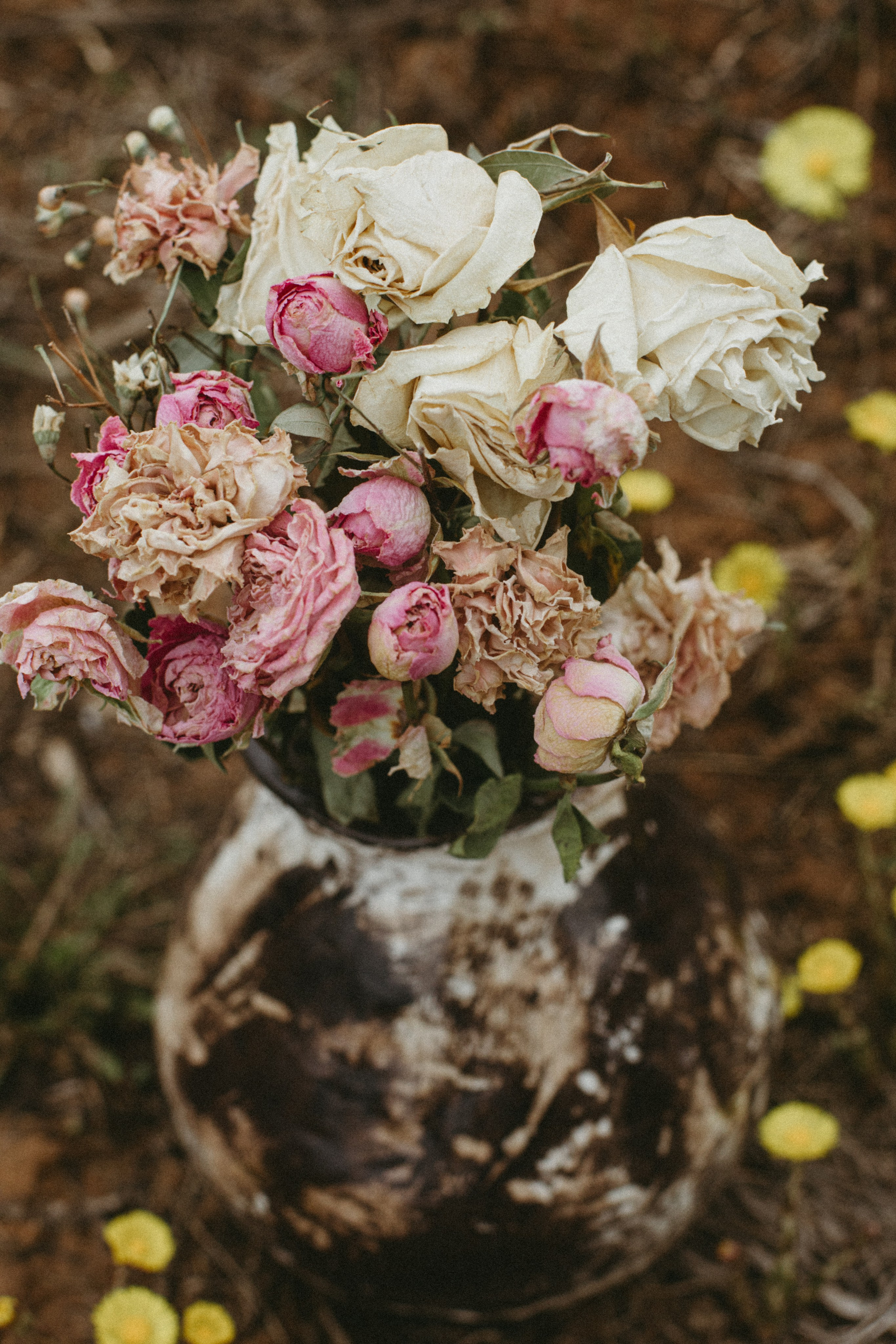 Ваза Лора. Фотограф Эльмира Лин