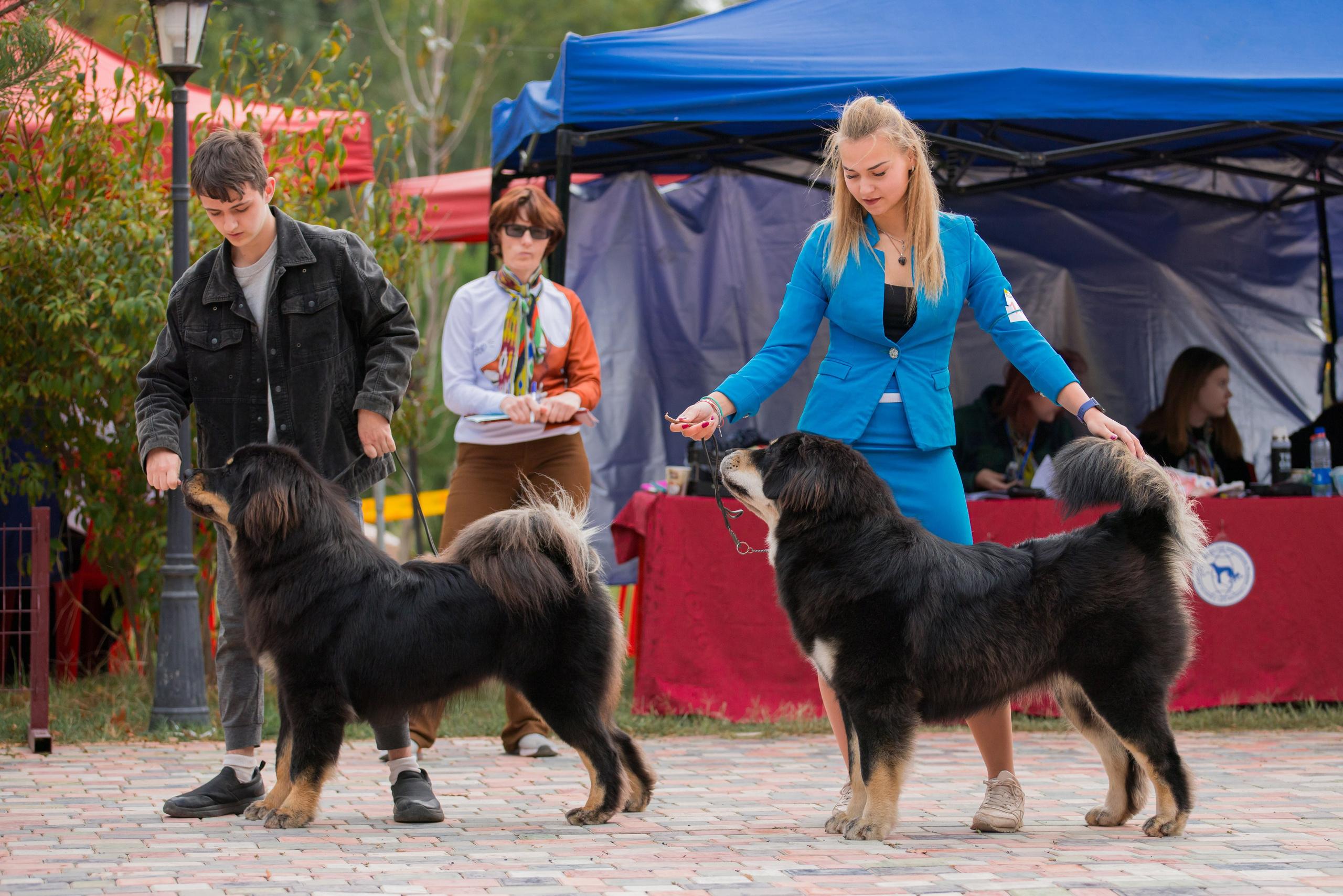 Ташкент 6-8.10.2023 + Алматы 14-15.10.2023. Фотограф-анималист Юлия Германика