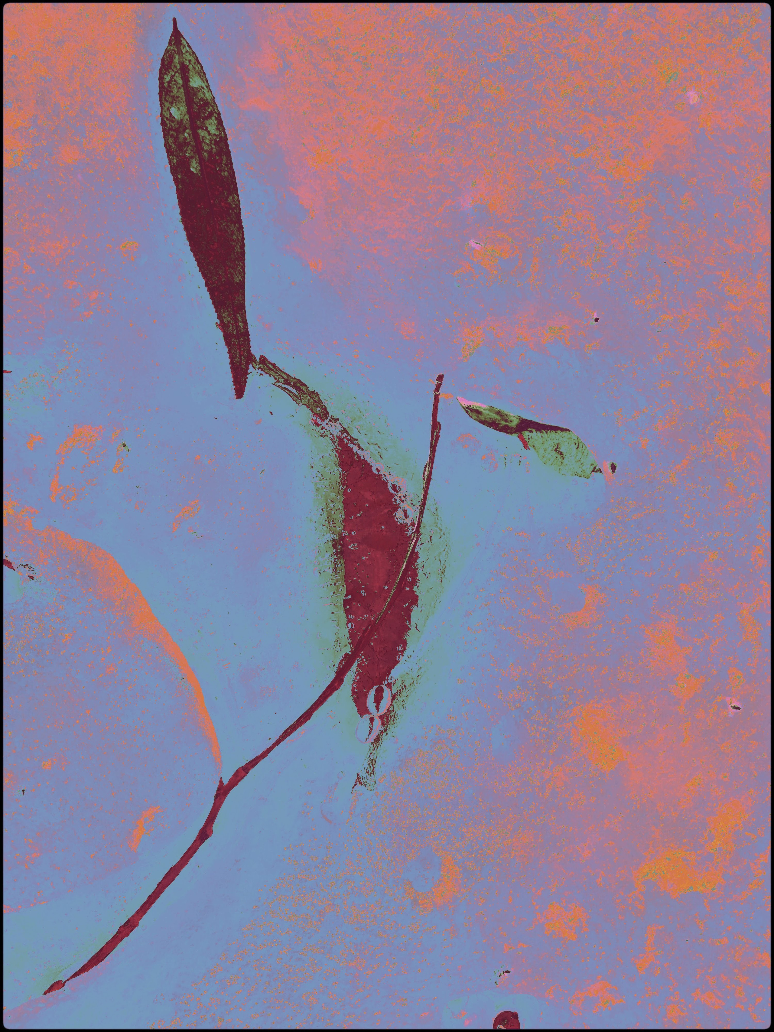 Malamoonki. Катерина Малама арт-фотограф