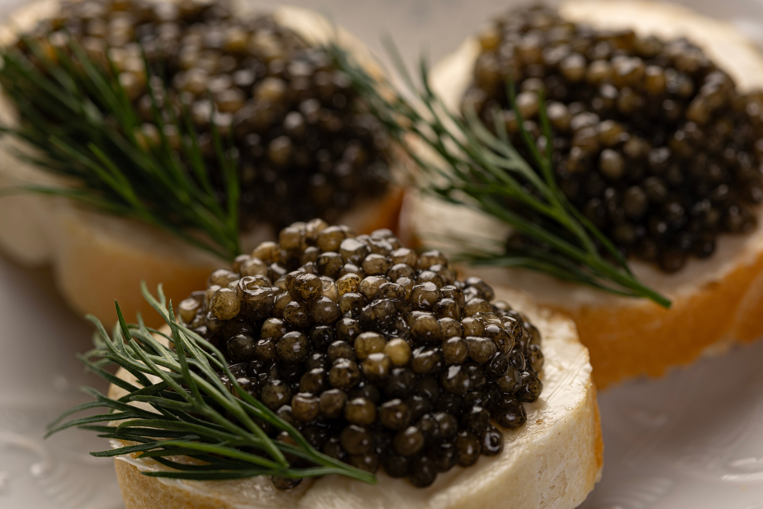 Caviar. Фотограф Александр Глебов
