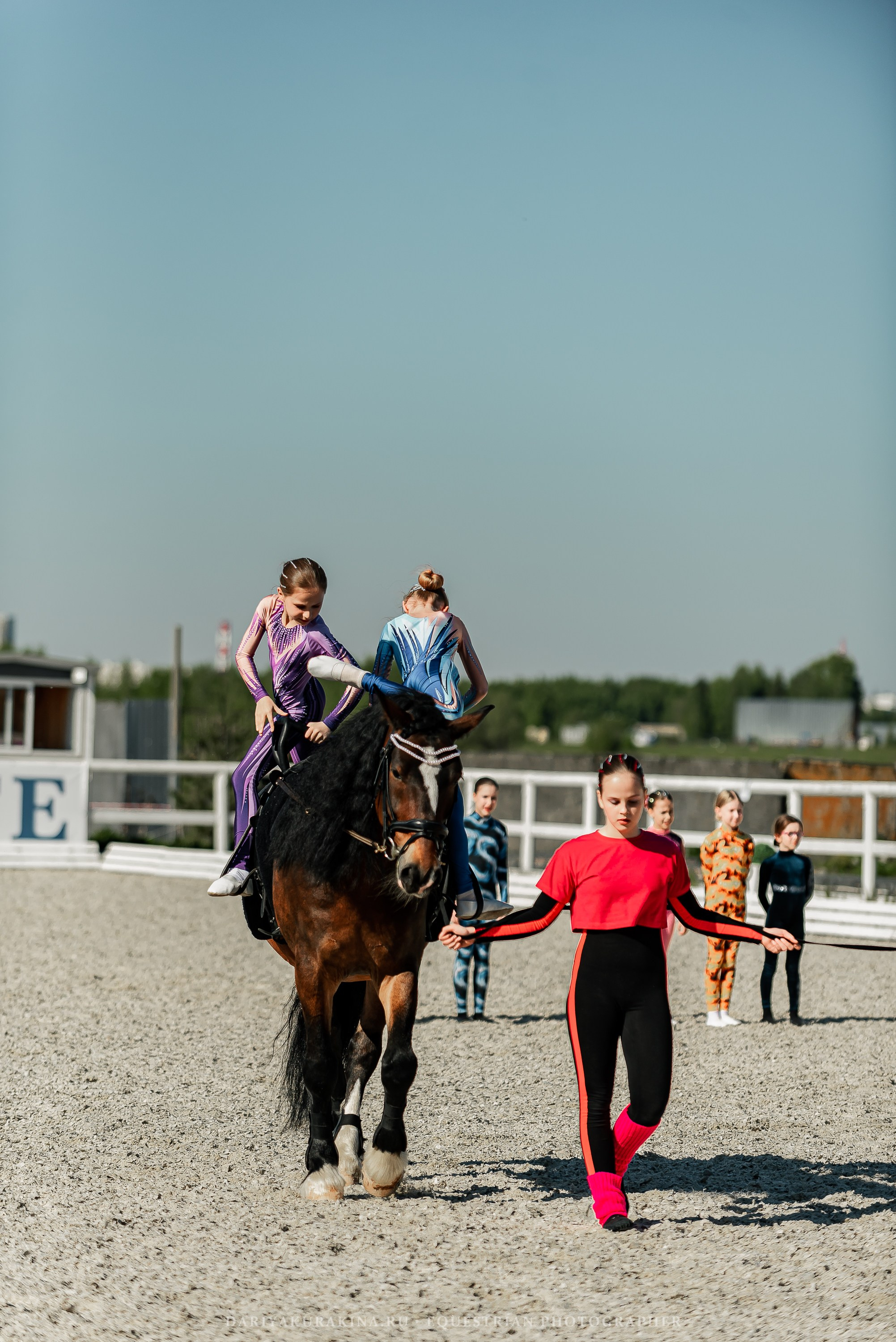 РЕПОРТАЖ МКК ВОЛЬТ «LA TULIPS». Конный фотограф Куракина Дарья • Фотосессии с лошадьми