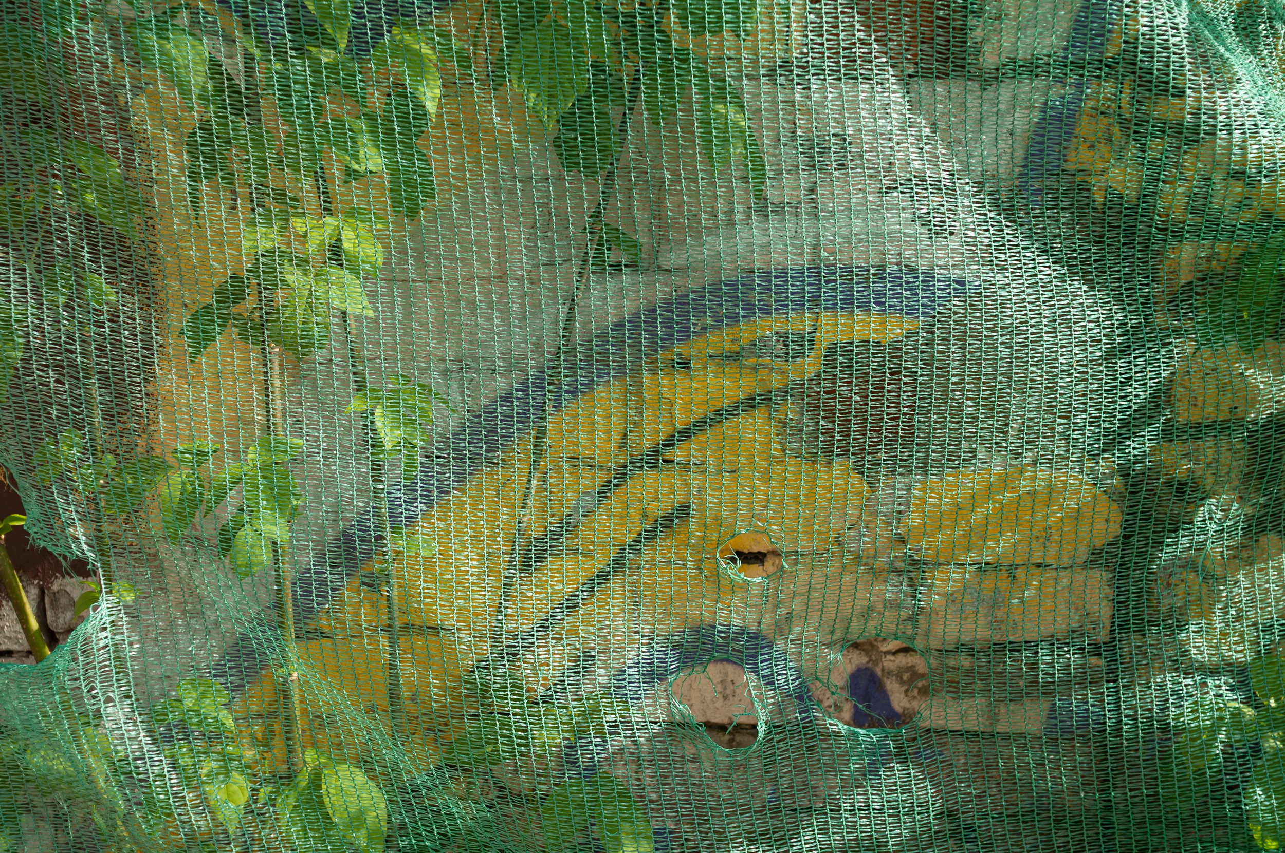 Autofigures. Nikoilay Pak