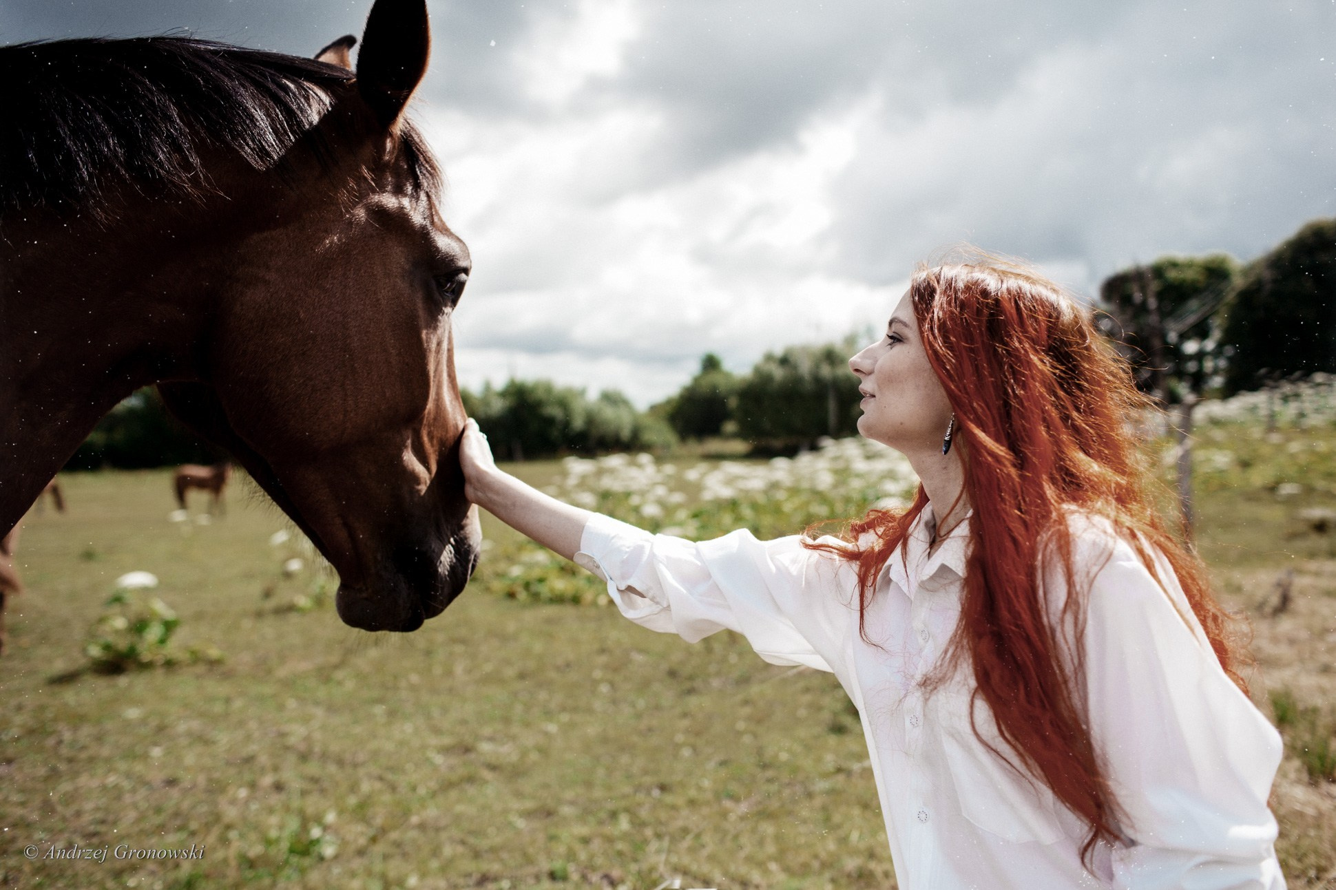 Рыжие и лошади. A. Гроновски —Портретный женский фотограф в Калининграде| Портреты, НЮ, Репортажи