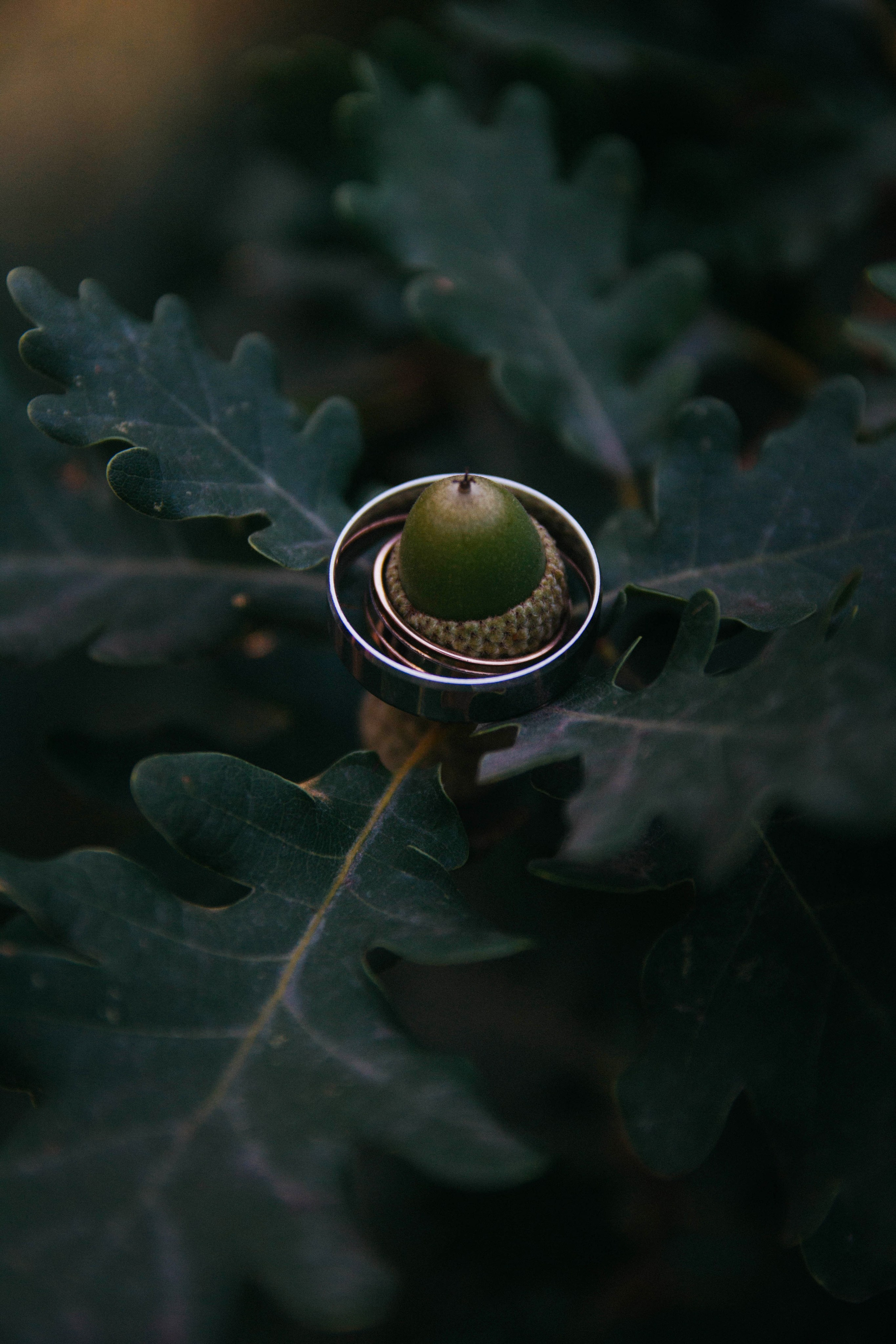 Семейный и свадебный фотограф в Краснодаре