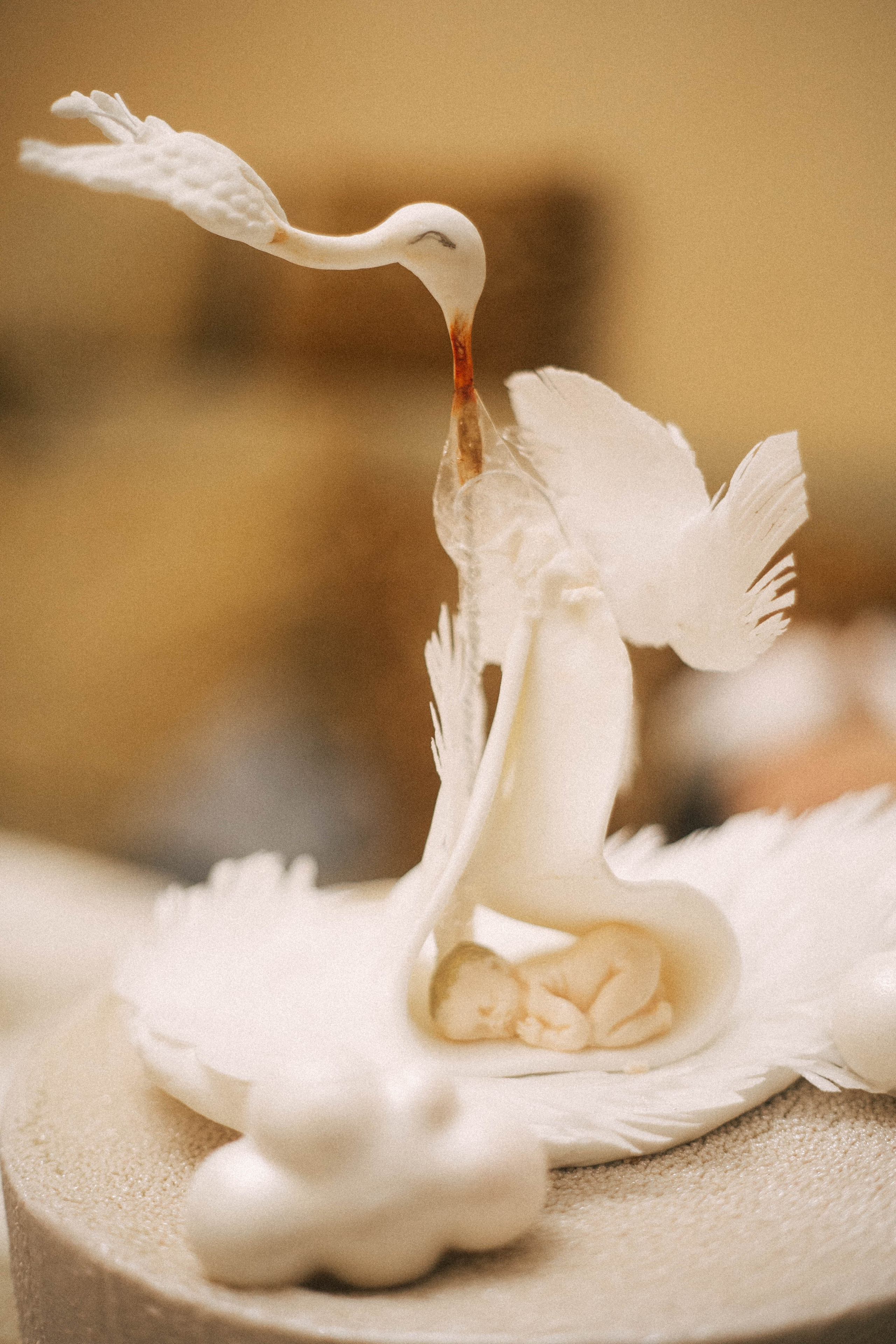 Выписка Сева, Сехран, Мурад, Имран. Семейный фотограф Юлия Котова