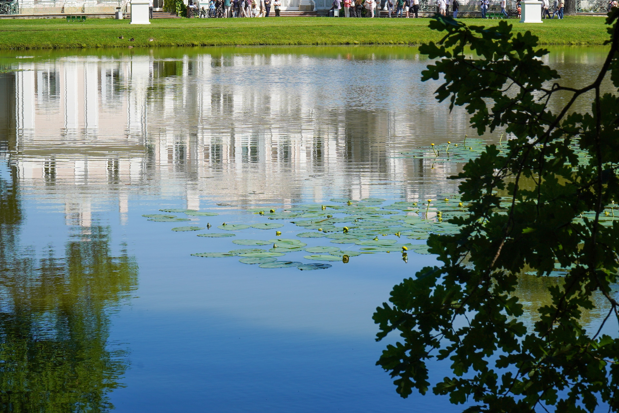ОРАНИЕНБАУМ. Июль 2024. Фотограф Наталья Погодина в г. Обнинске