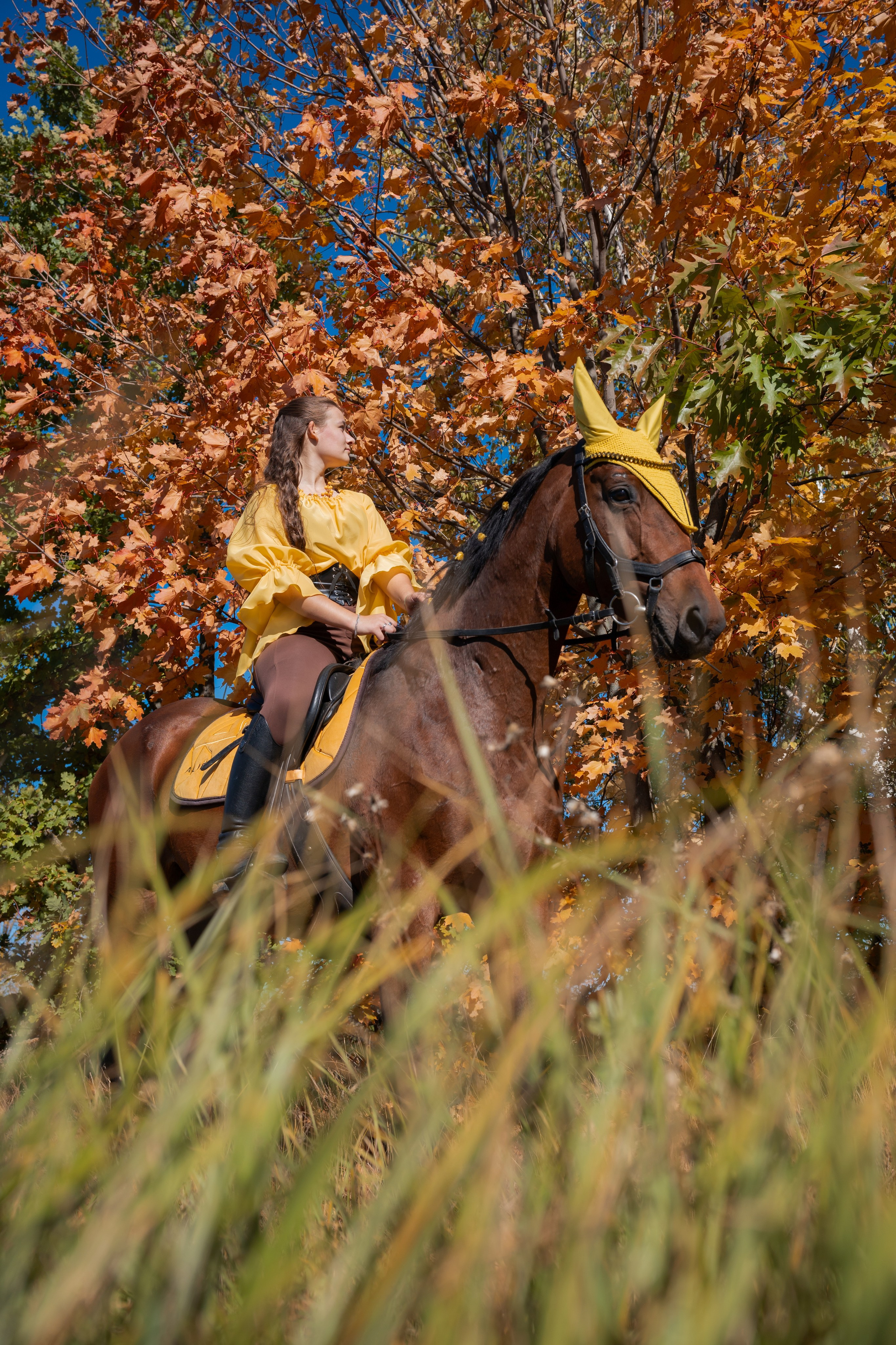 Фотосессия с лошадьми
