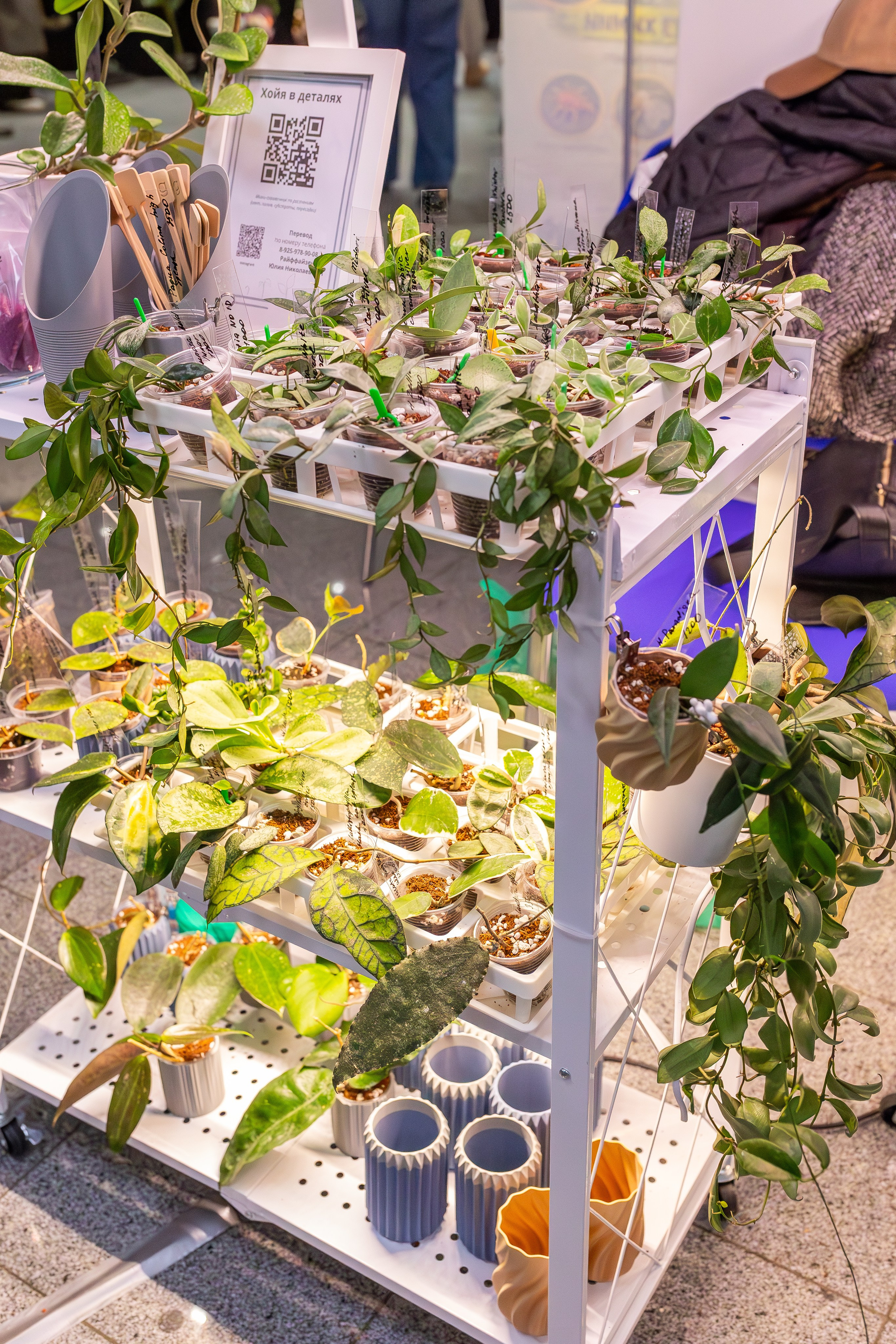 Монстериум апрель 2026. Александра Куликова фотограф, Москва