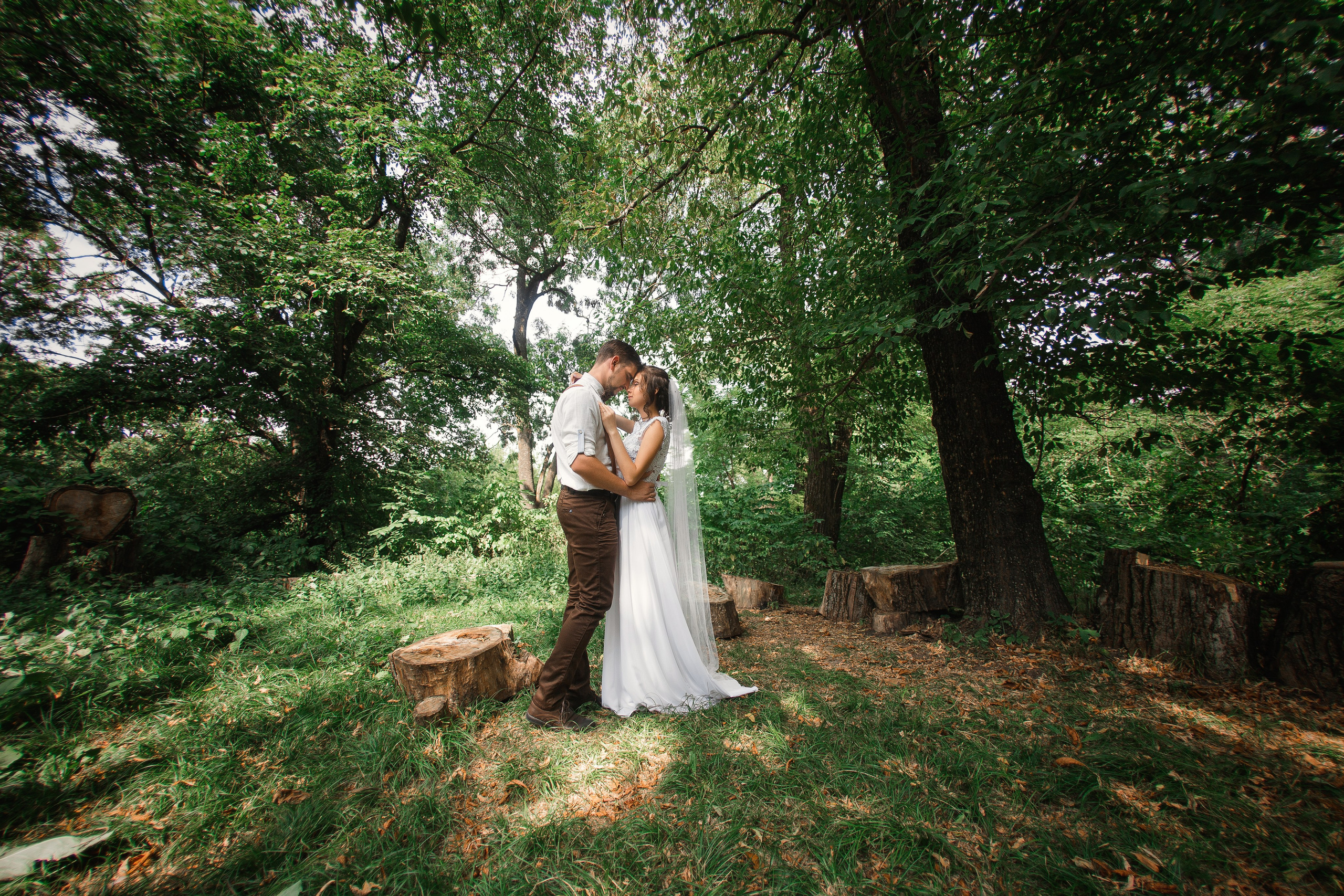 Игорь Тихонов. Фотограф Игорь Тихонов