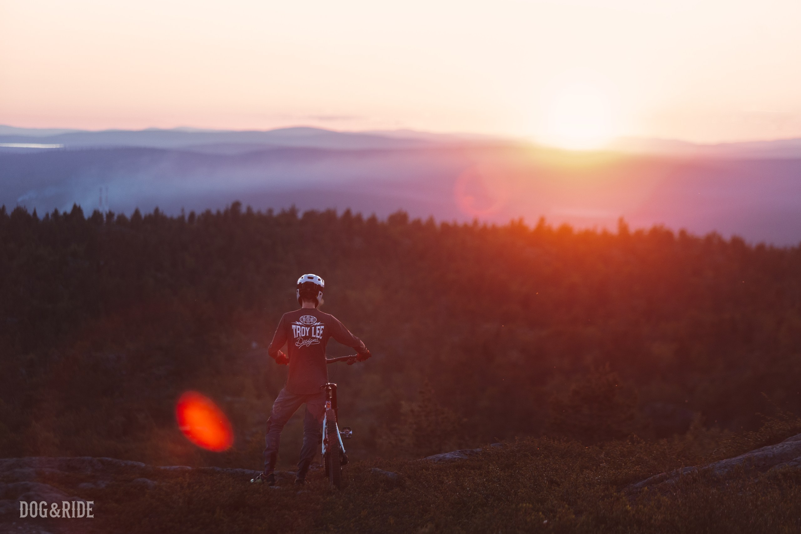 Кандалакшка. Фотограф анималист Никита Натальный
