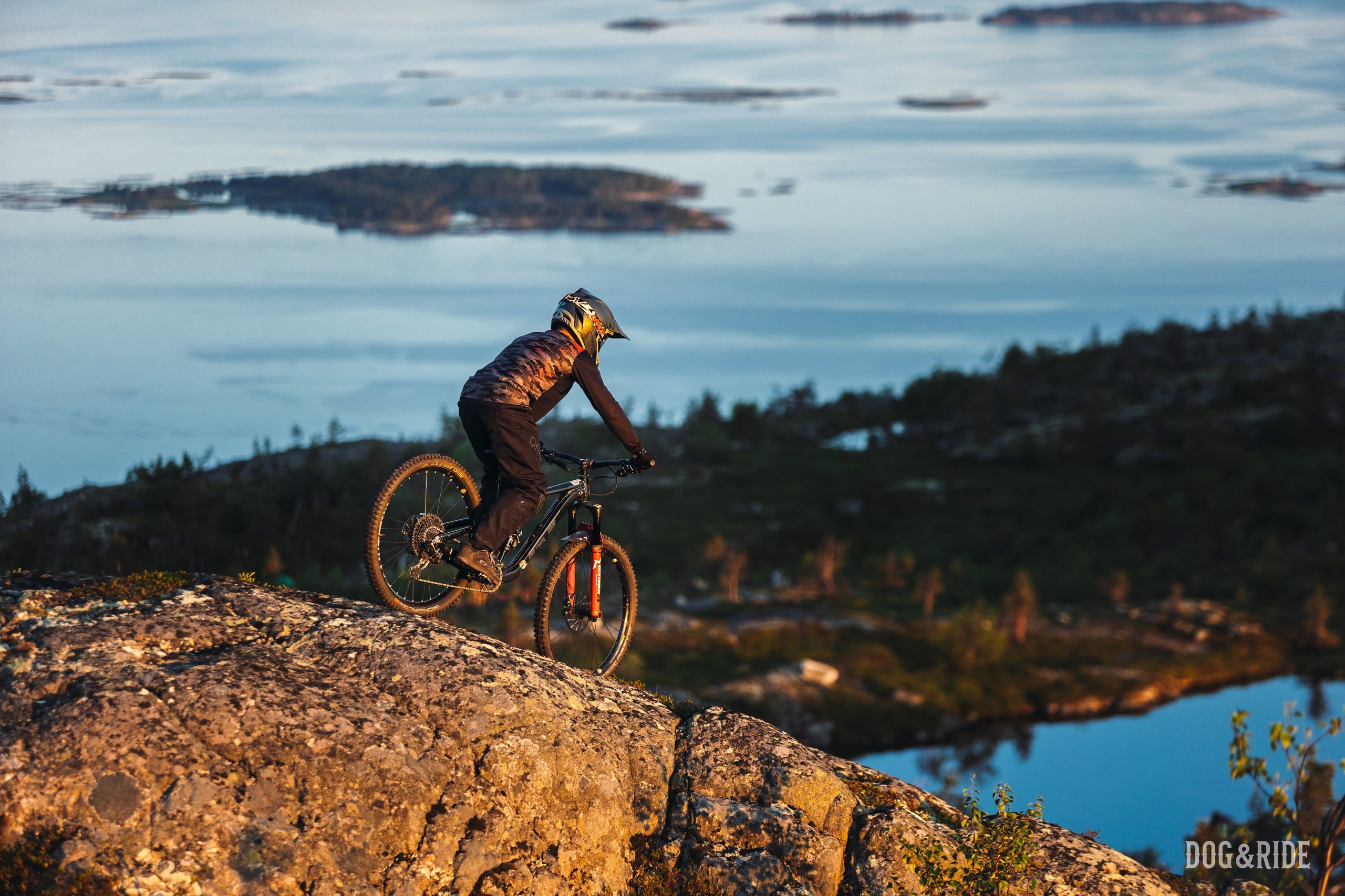 Кандалакшка. Фотограф анималист Никита Натальный
