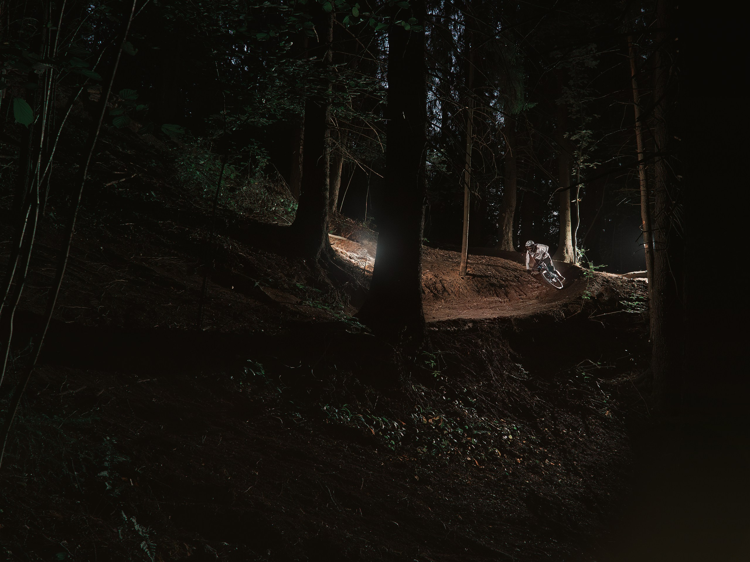 Александр. Фотограф анималист Никита Натальный