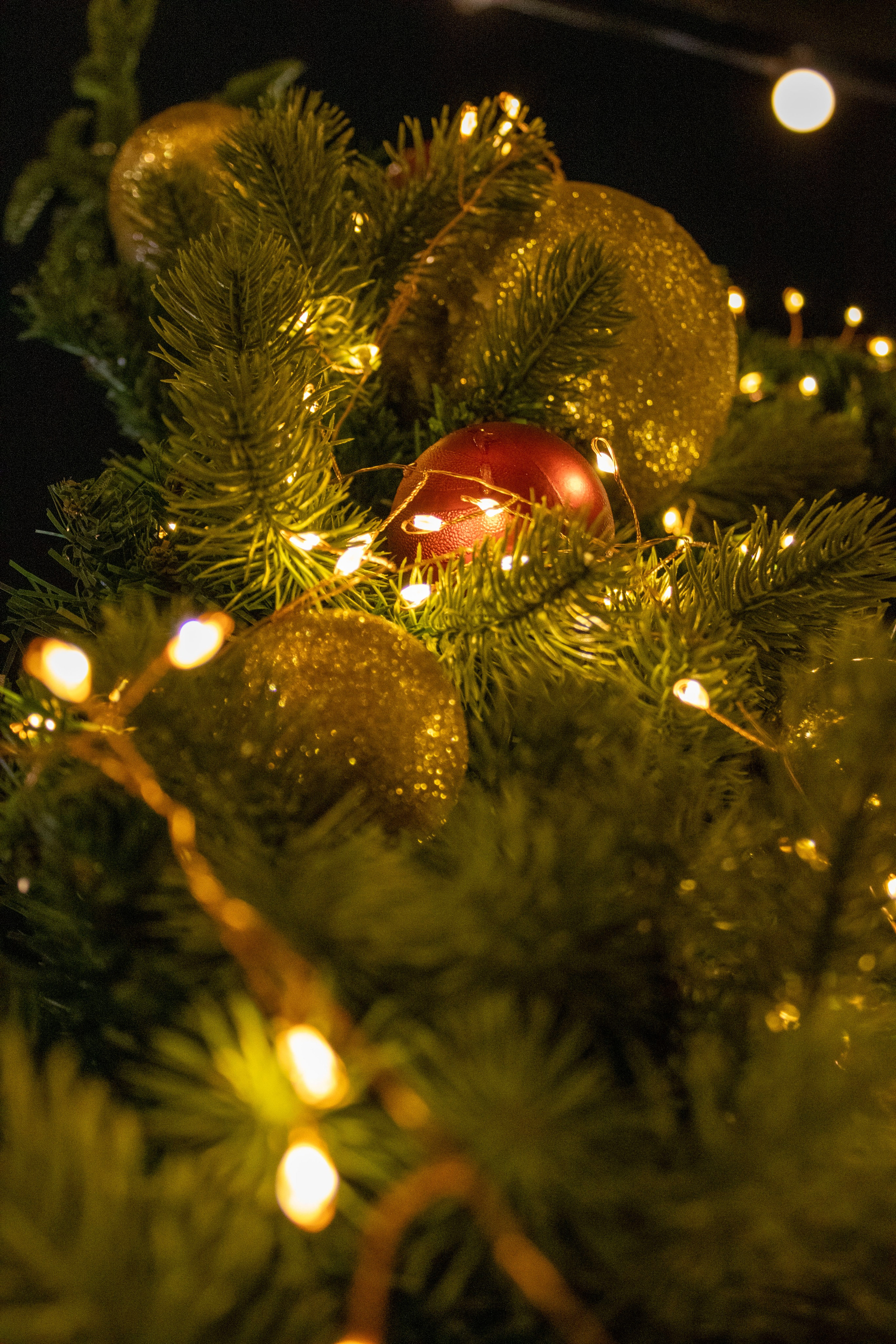 Новогодняя вылазка 2024. Фотограф г. Владивосток