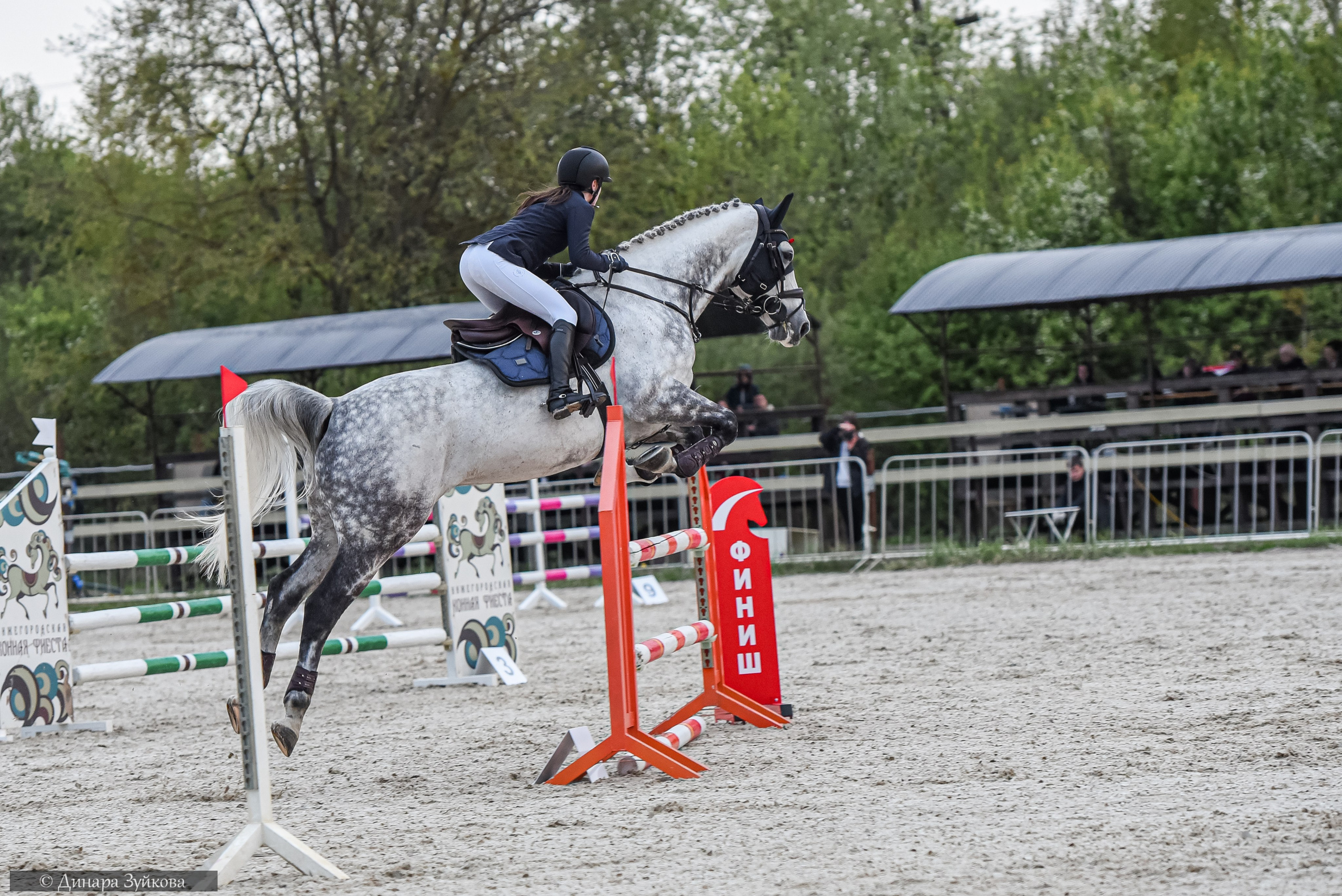 Кони. Мотофотограф в Нижнем Новгороде Динара Зуйкова