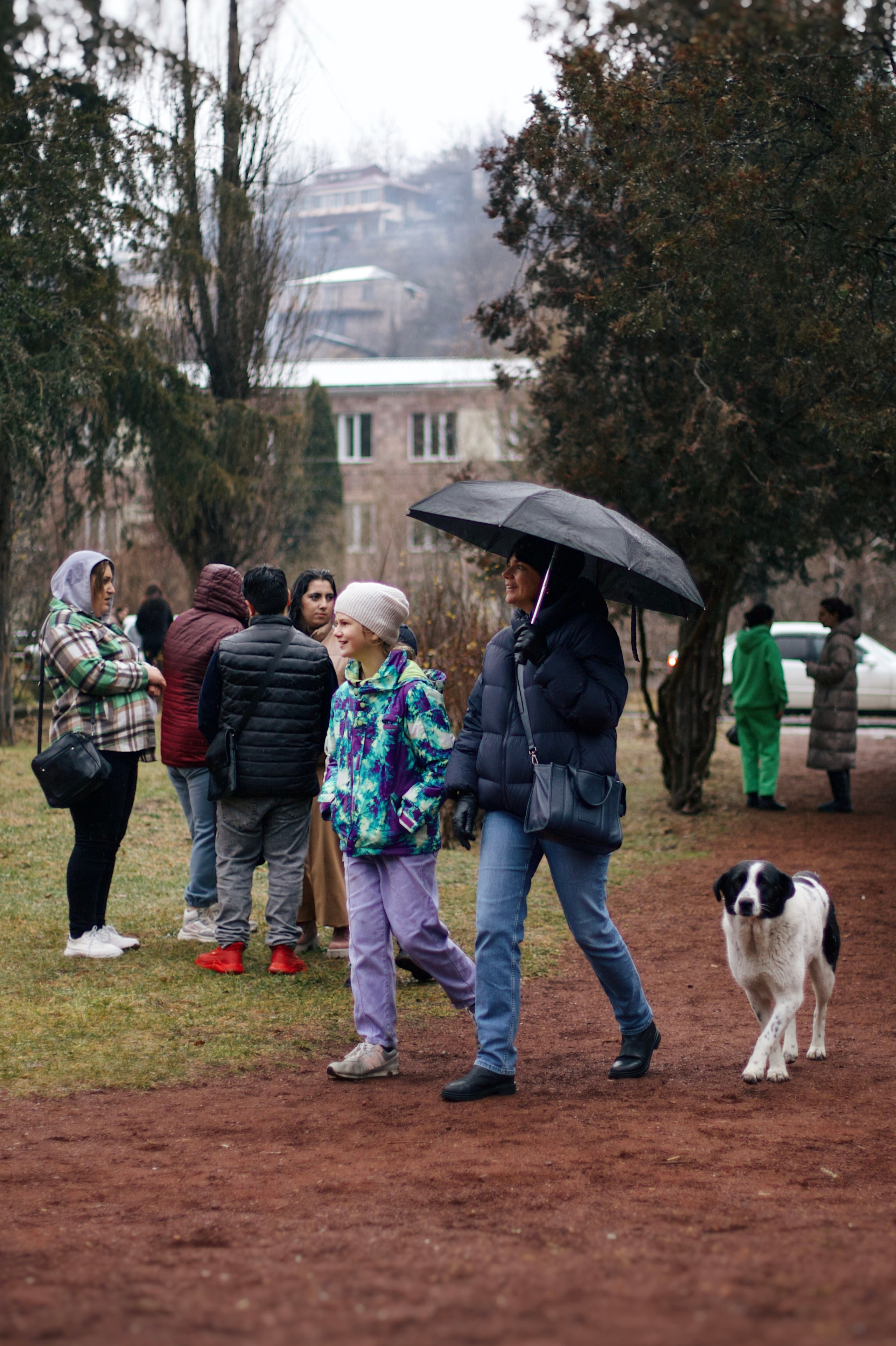Christmas Tree opening in Dilijan city park. Фотограф в Армении Женя Гилевич