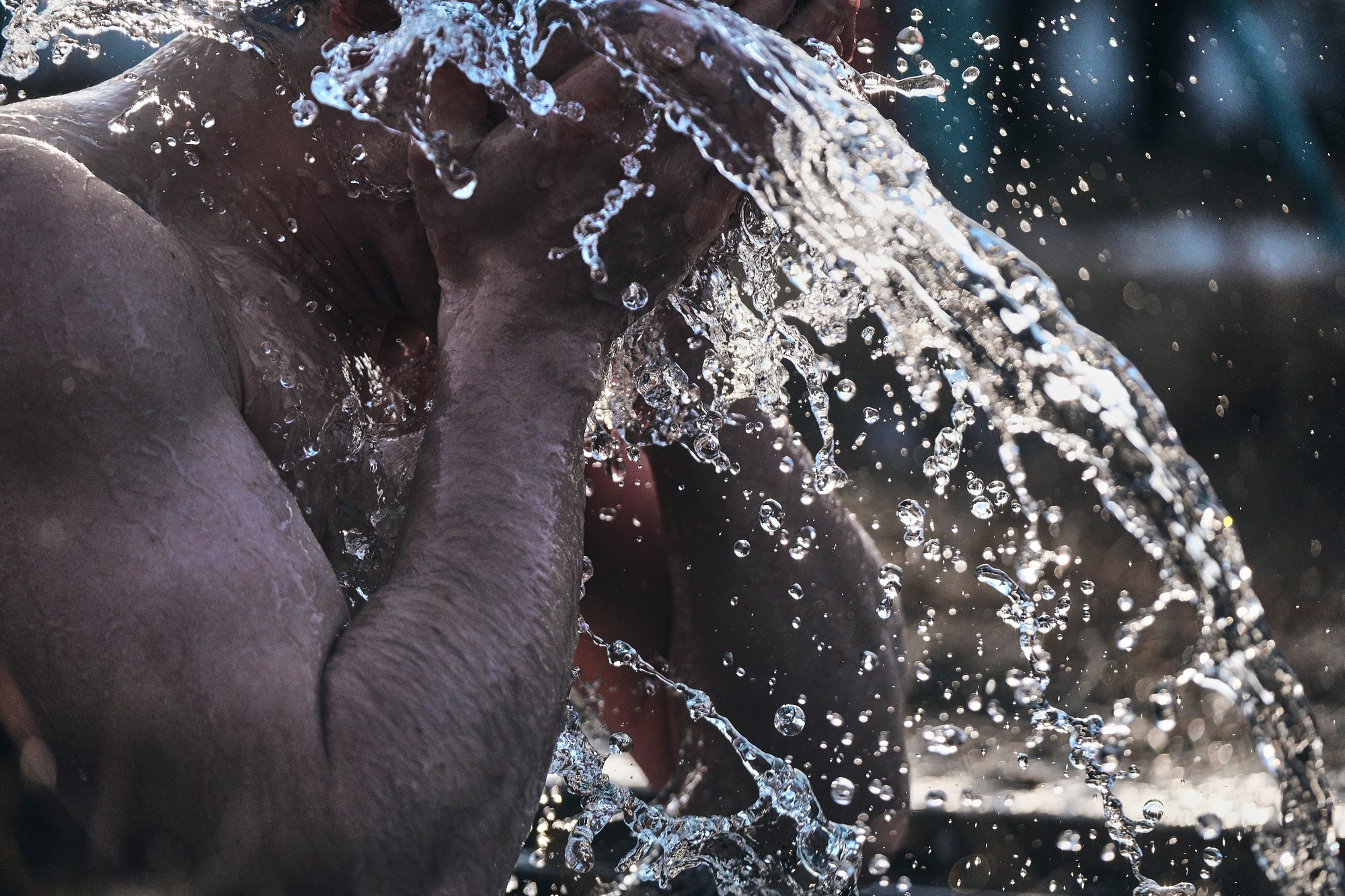 Крещенские купания на Томи. 19 января, 2025. Никита Гольцов / РИА Томск.