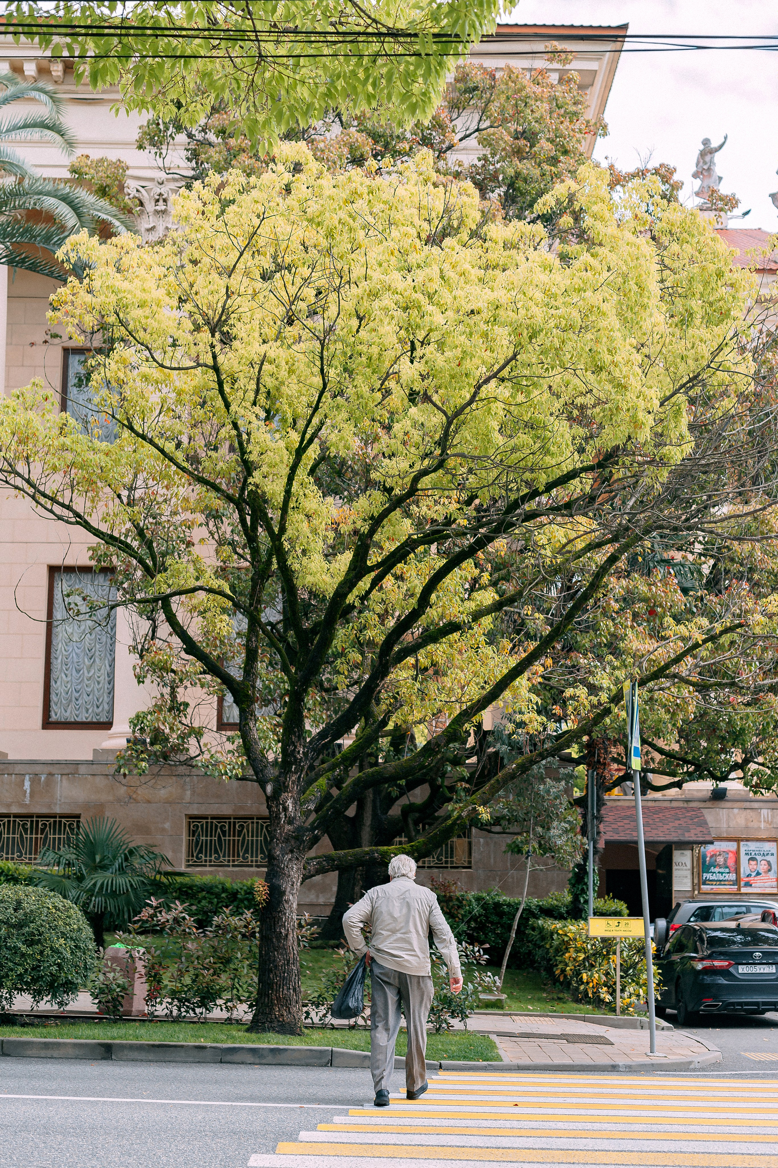 Сочи. Аня Степанова