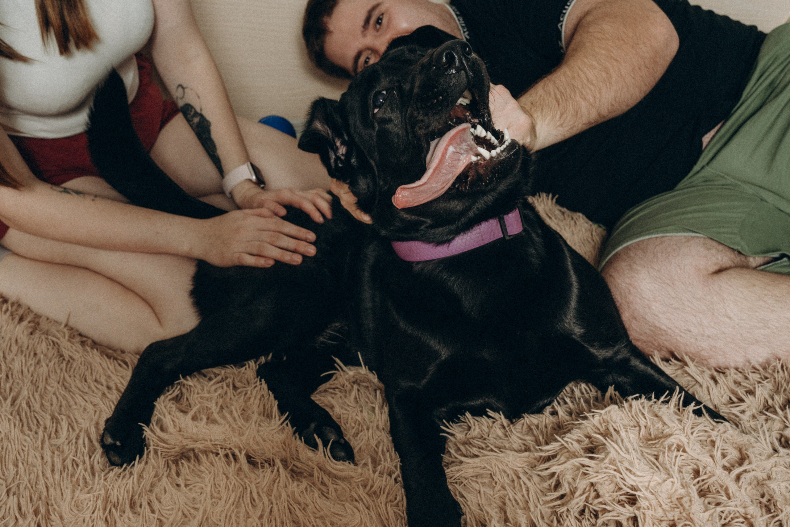 Вика&Даня. Фотограф и видеограф в Тюмени Екатерина Чернецкая