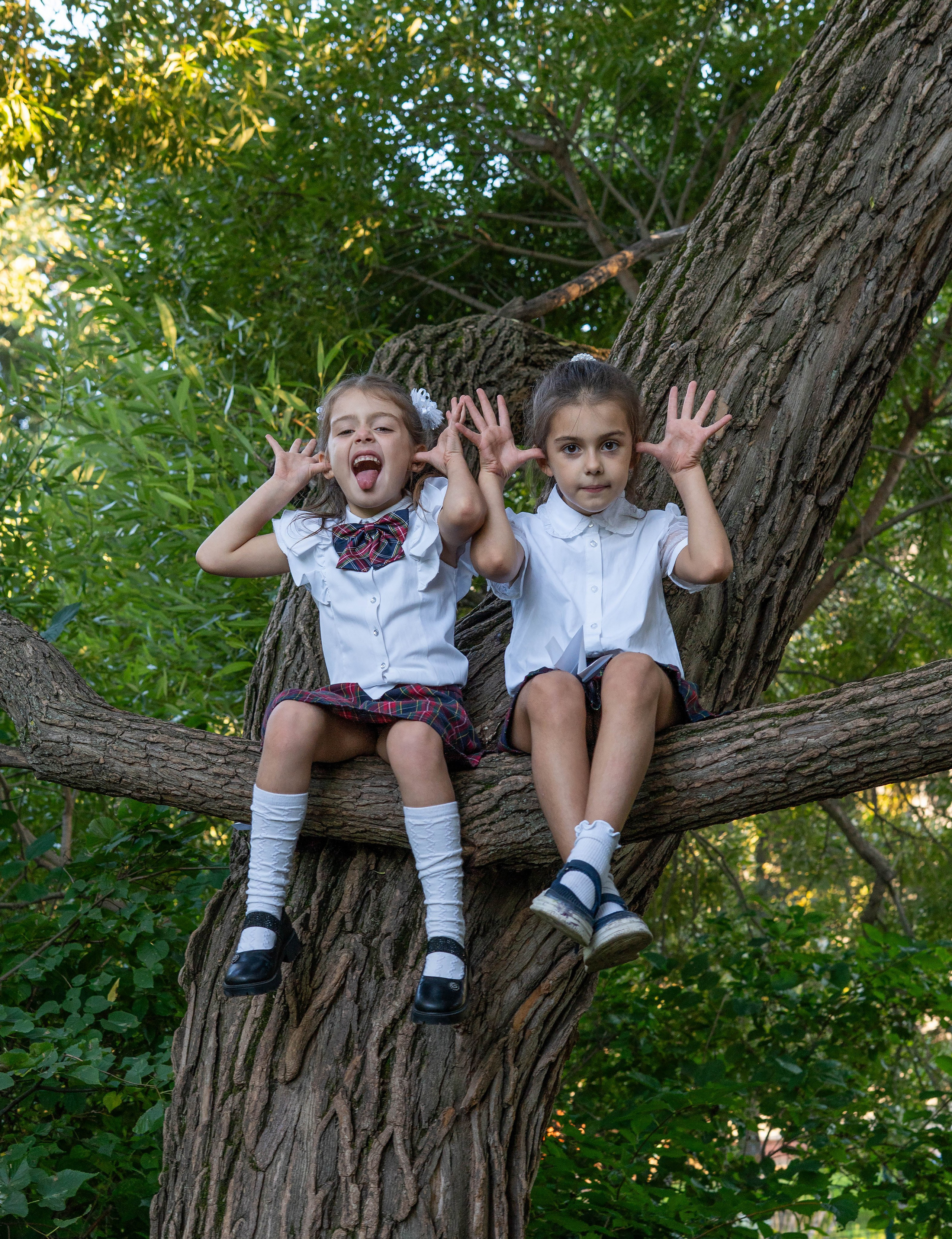 Фотосессия на 1 сентября день знаний в Новосибирске Краснообске