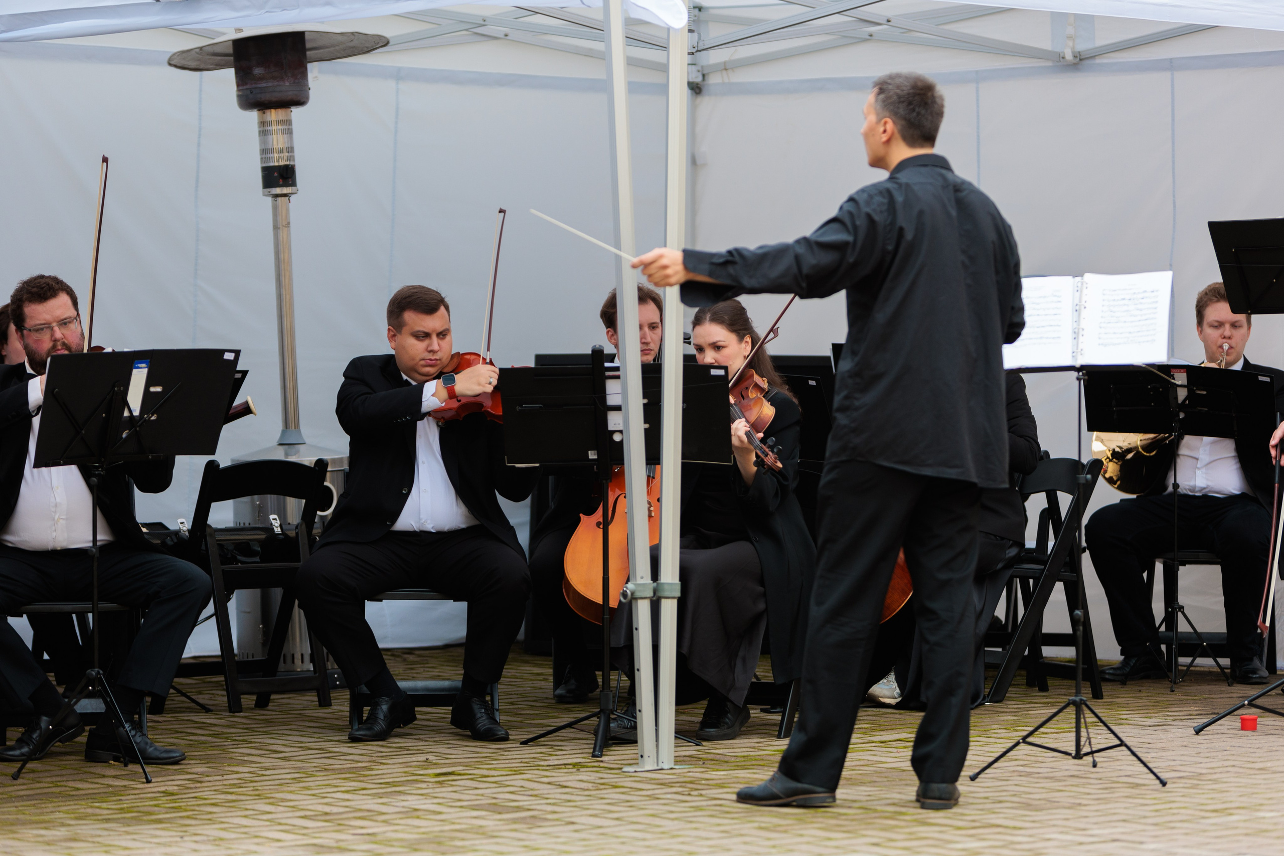 Концерт малого симфонического оркестра. Репортажный фотограф Санкт-Петербург | Роман Карбышев