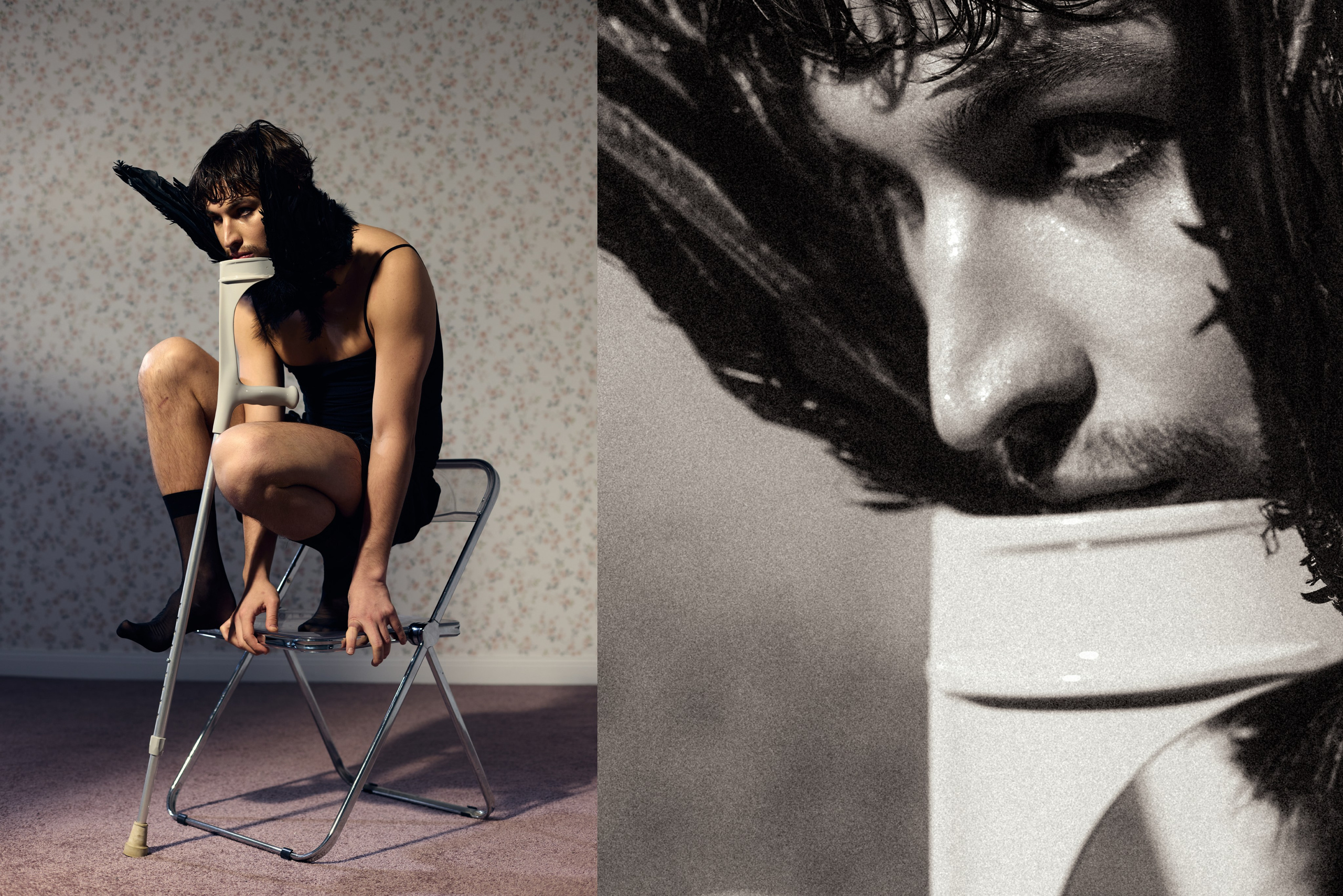 Bird in a cage. PLANTA ROSA — REPORTAGE