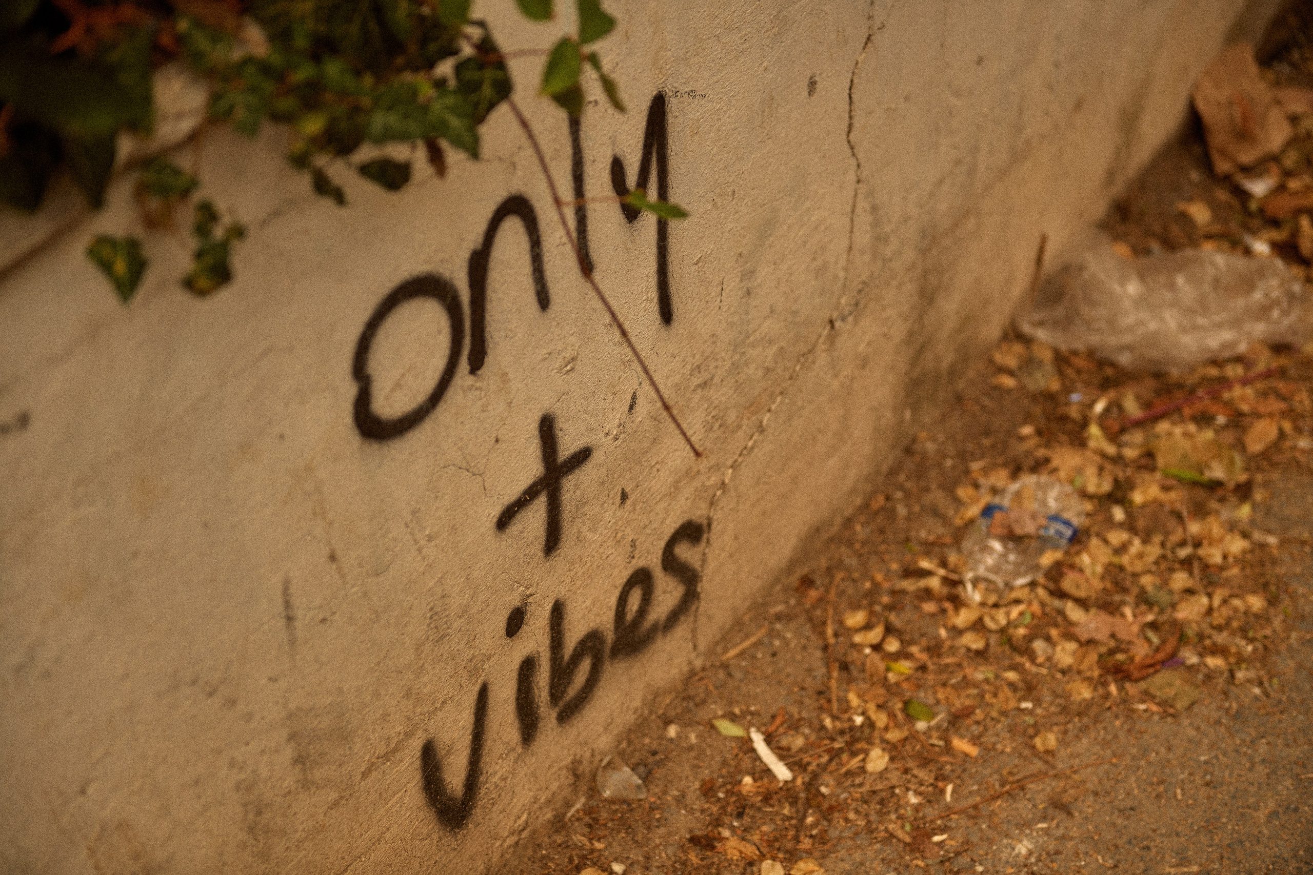 Istanbul. Фотограф Слава Орловский
