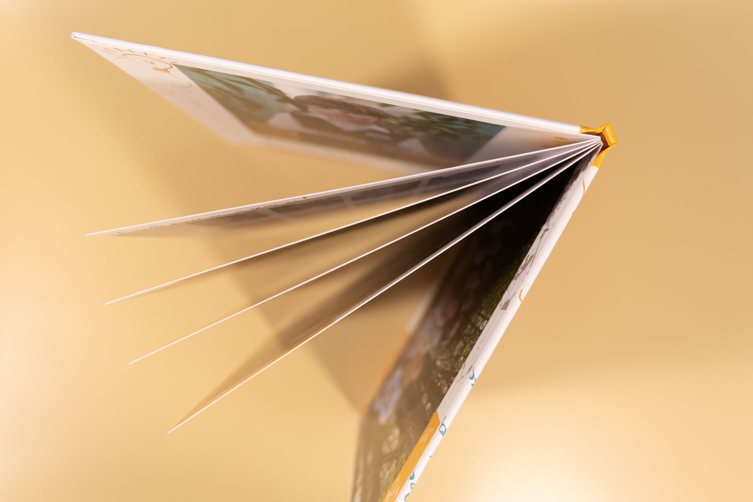 Выпускной альбом для 4 класса в Вологде