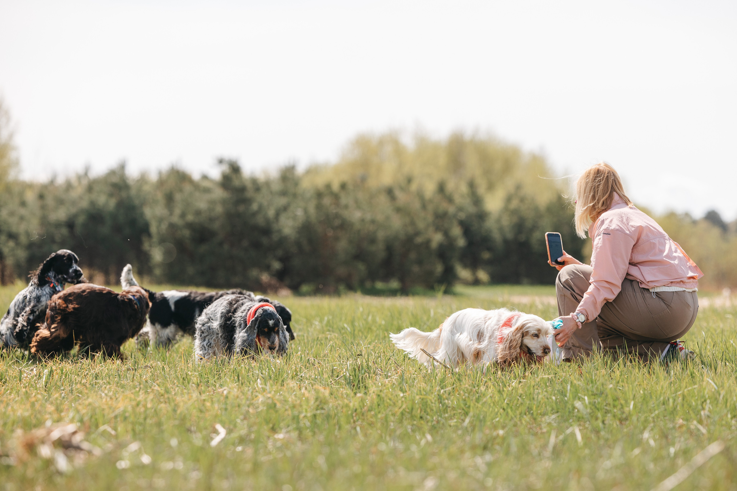 Спанимания. Фотограф анималист Осипчикова Мария