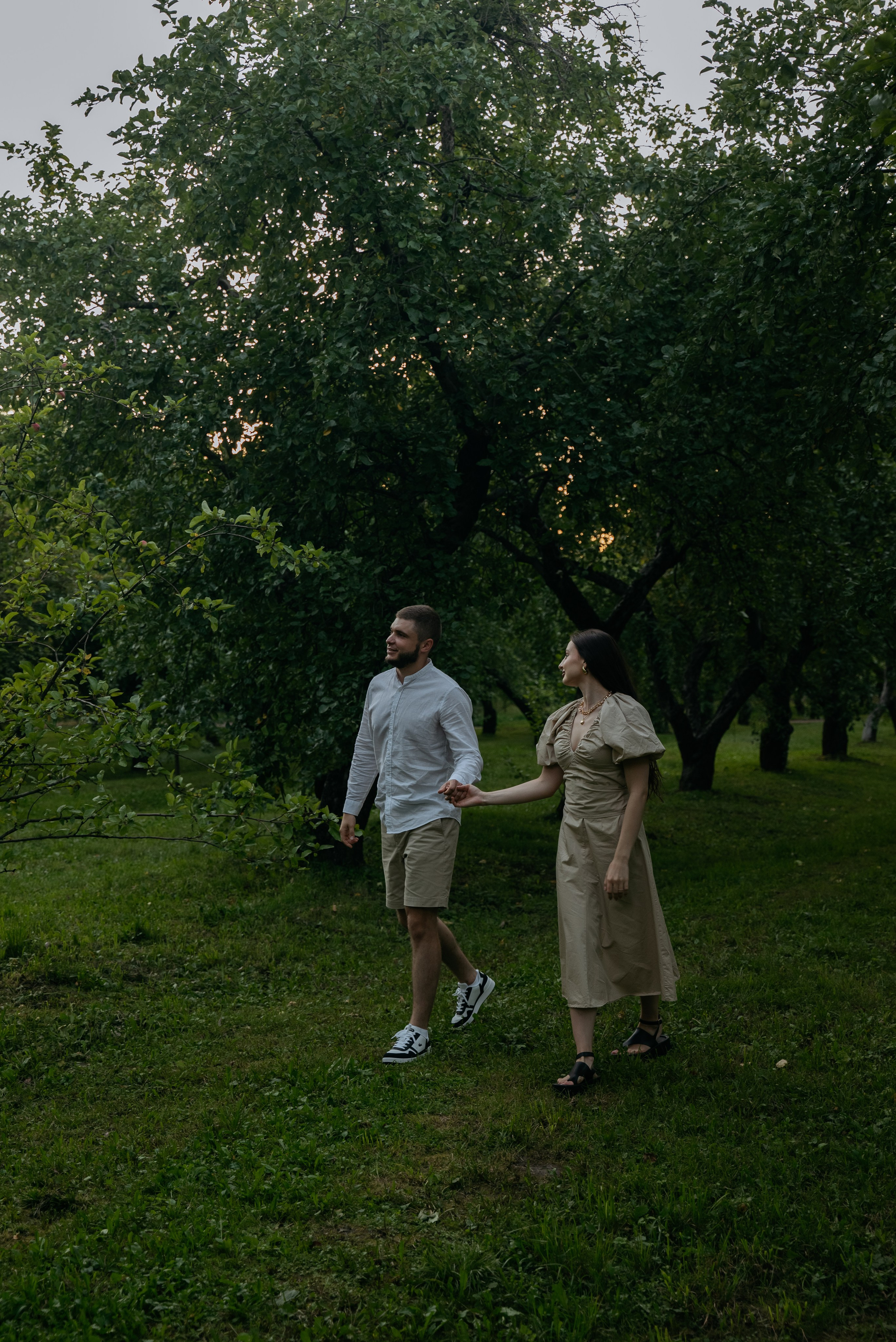 Романтический пикник