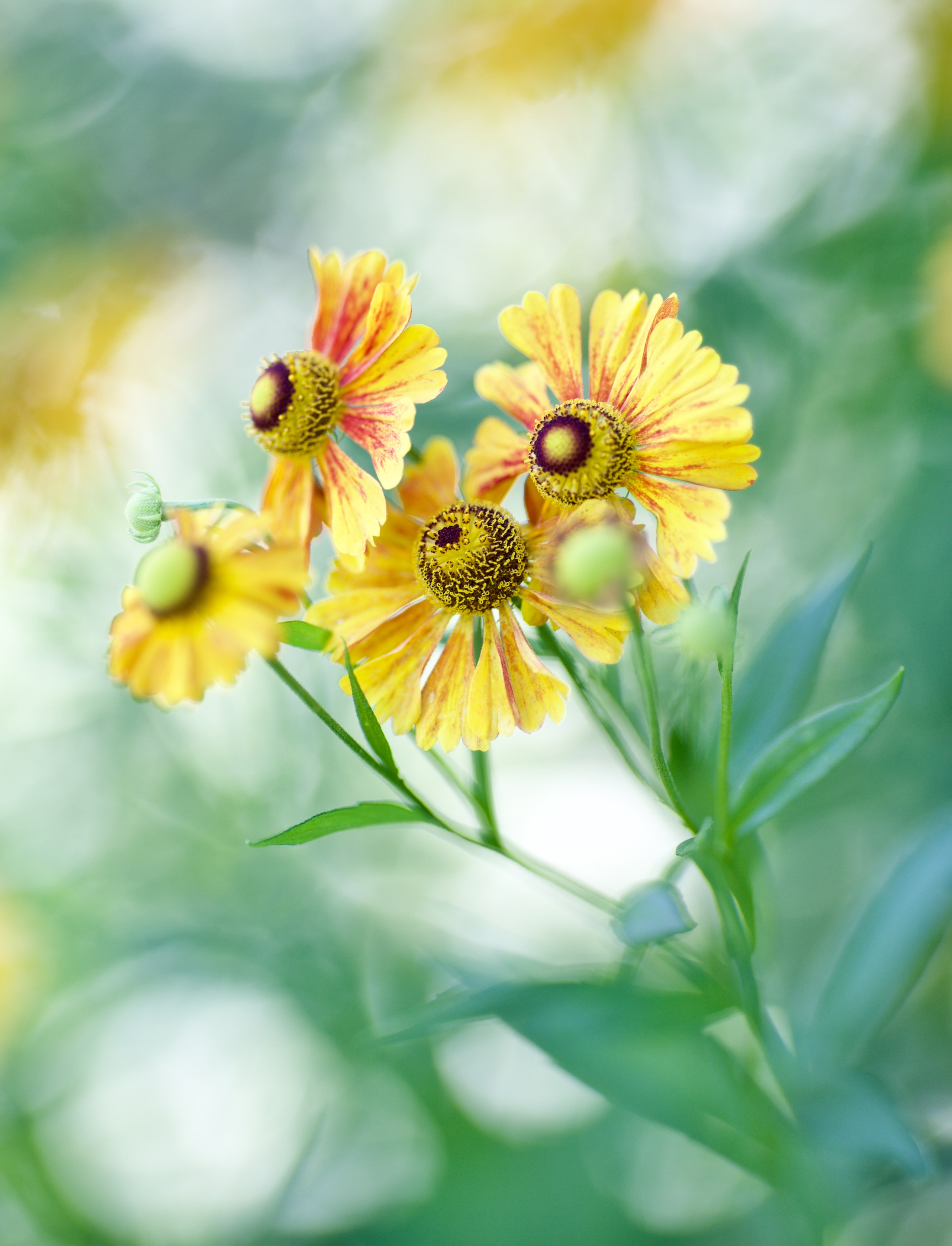 Чудесная природа. Школьные выпускные альбомы в Москве Марина Николаева