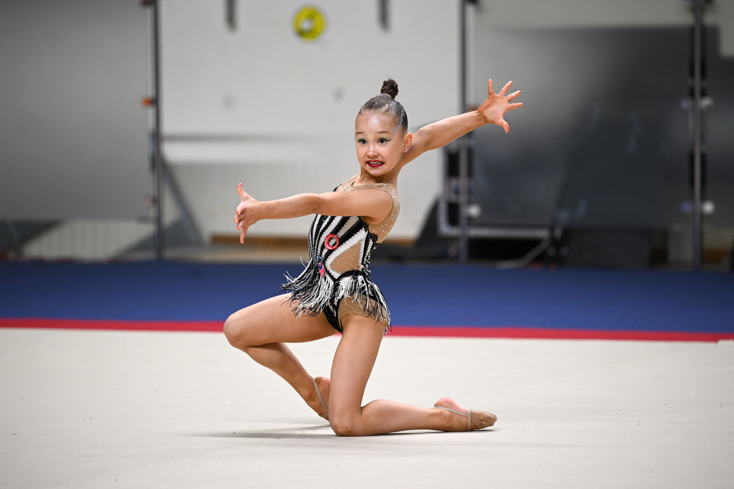 ФОТОВИДЕОСПОРТ. Фото видео услуги на соревнованиях по художественной гимнастике. Видеотрансляция соревнований. Москва, ЦФО, ПФО