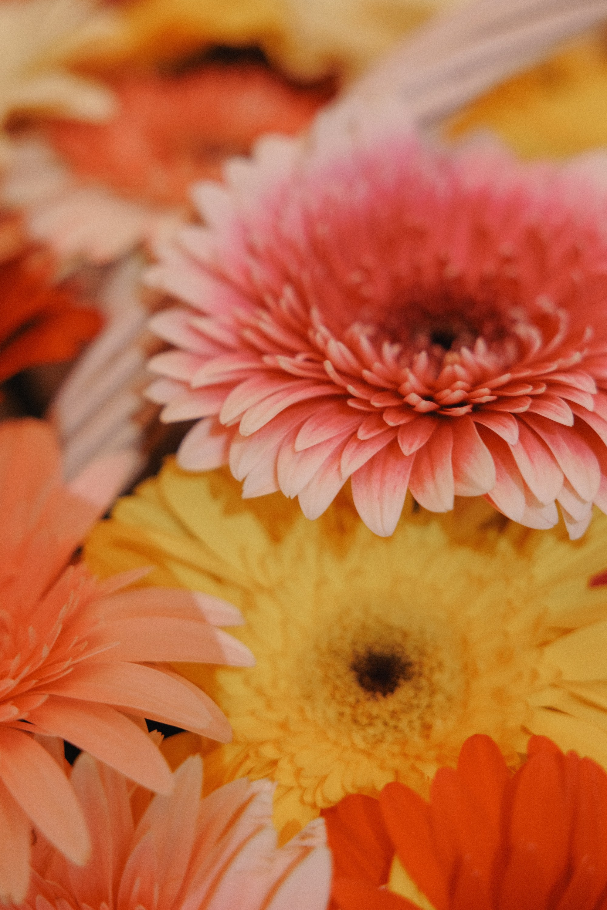 Татьяна и Кирилл. Свадебный фотограф в Нижнем Новгороде и Москве Николай Майоров