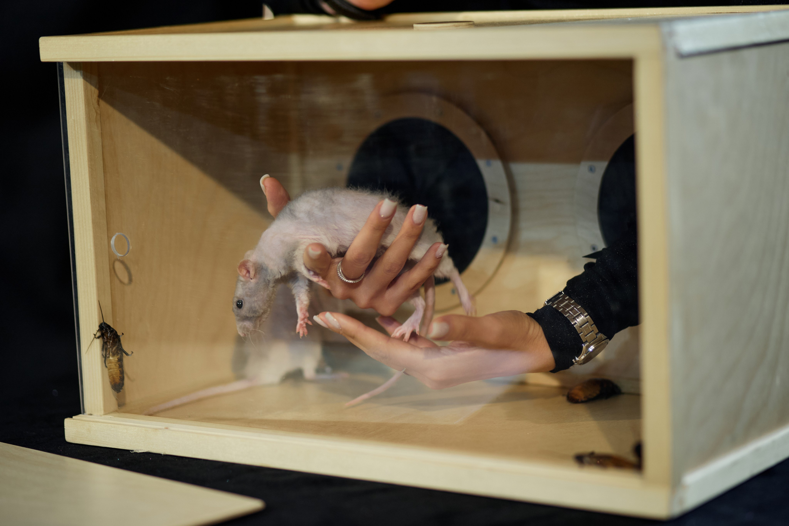 День Рождения Аня. Свадебный фотограф Челябинск, Екатеринбург, Курган — Виктор Слуднов