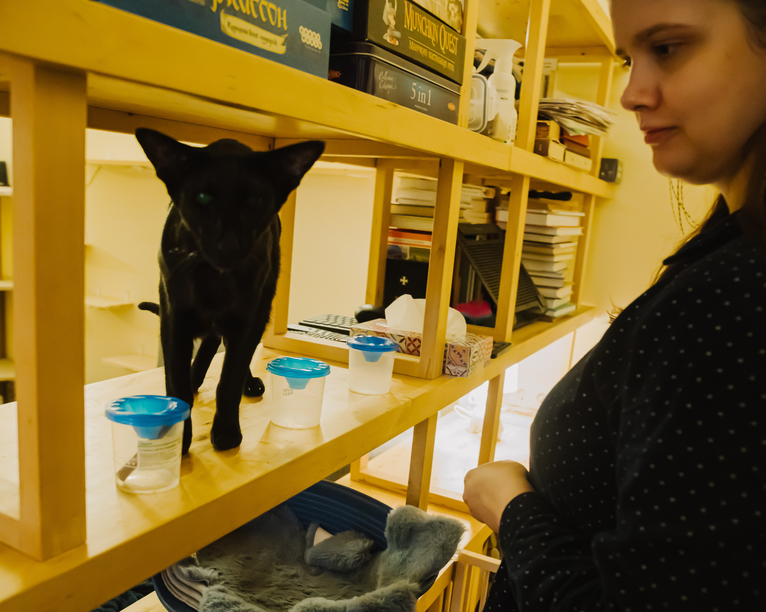 Гилдин. Портретный фотограф Ванинен Анастасия. Санкт-Петербург