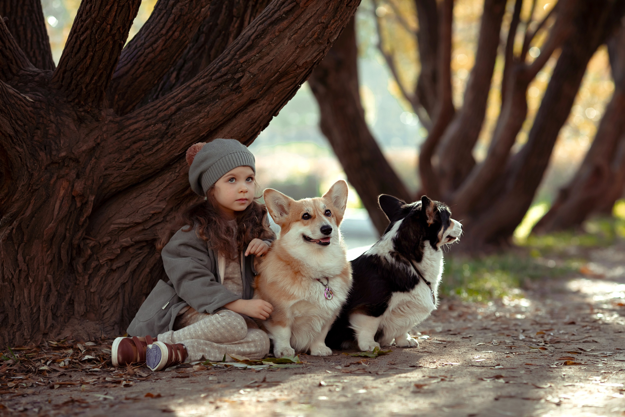 Эва с корги. Семейный и детский фотограф в Москве Дорогова Екатерина