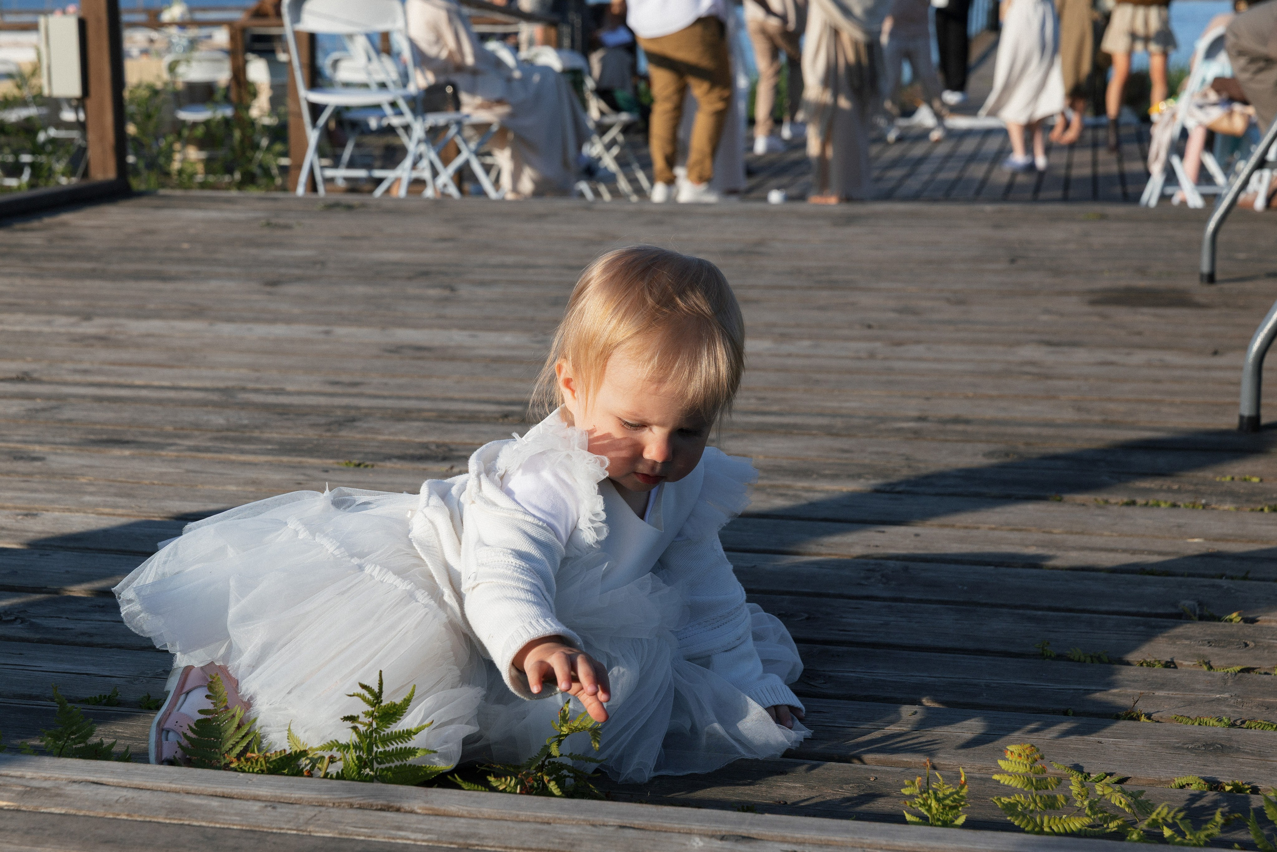 Евгений и Дарья. Свадебный и репортажный фотограф в Санкт-Петербурге Николай Голованов
