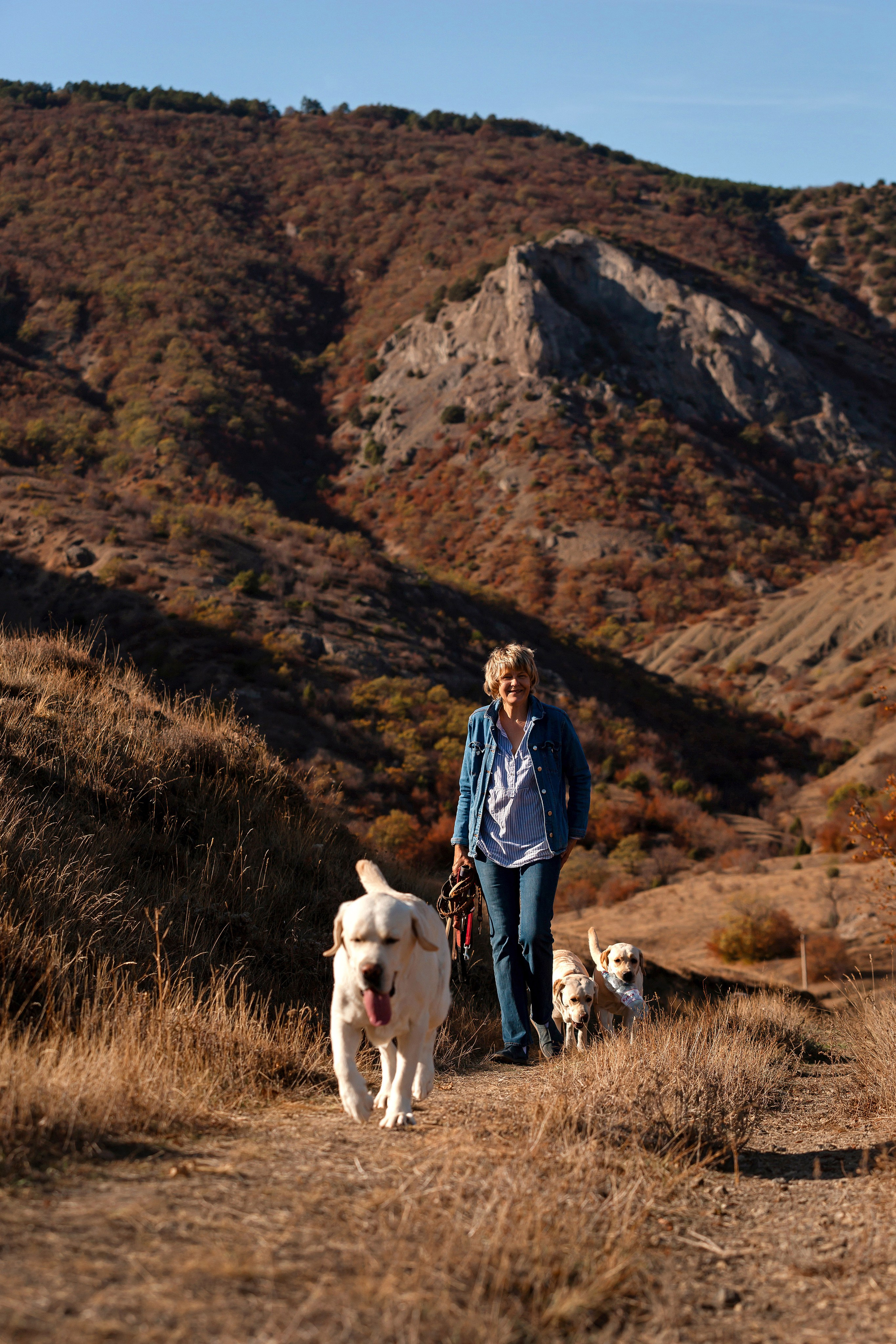 Лабрадоры и горы. Фотограф-анималист в Краснодаре Маша Мельникова