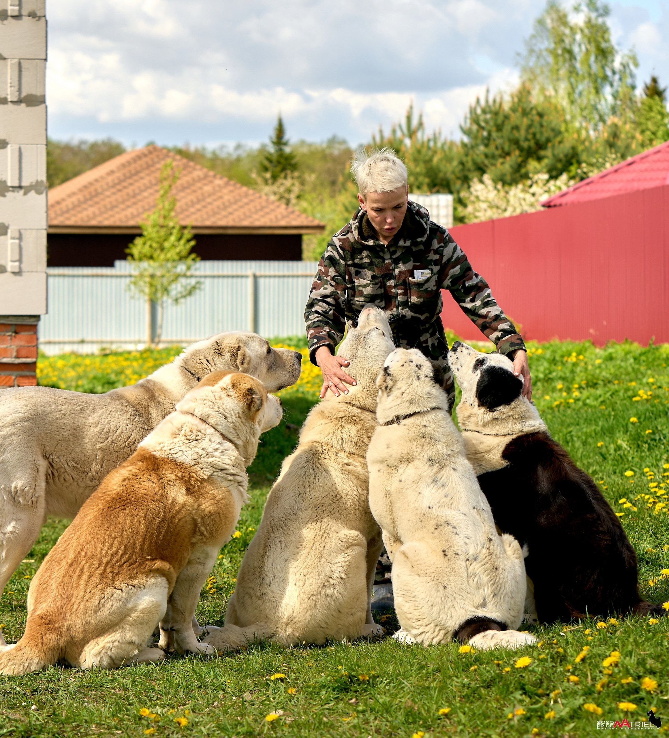 Съемка в питомнике