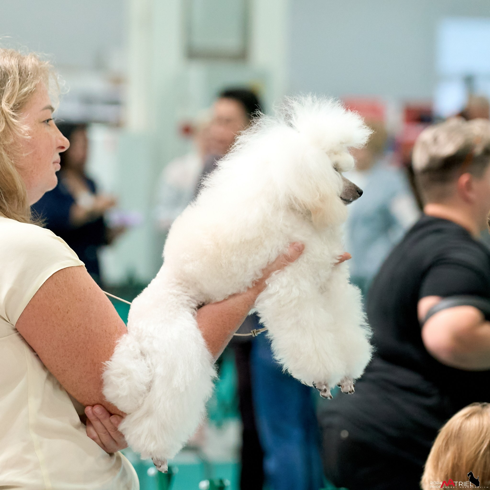 Съемка на выставке в Крокус
