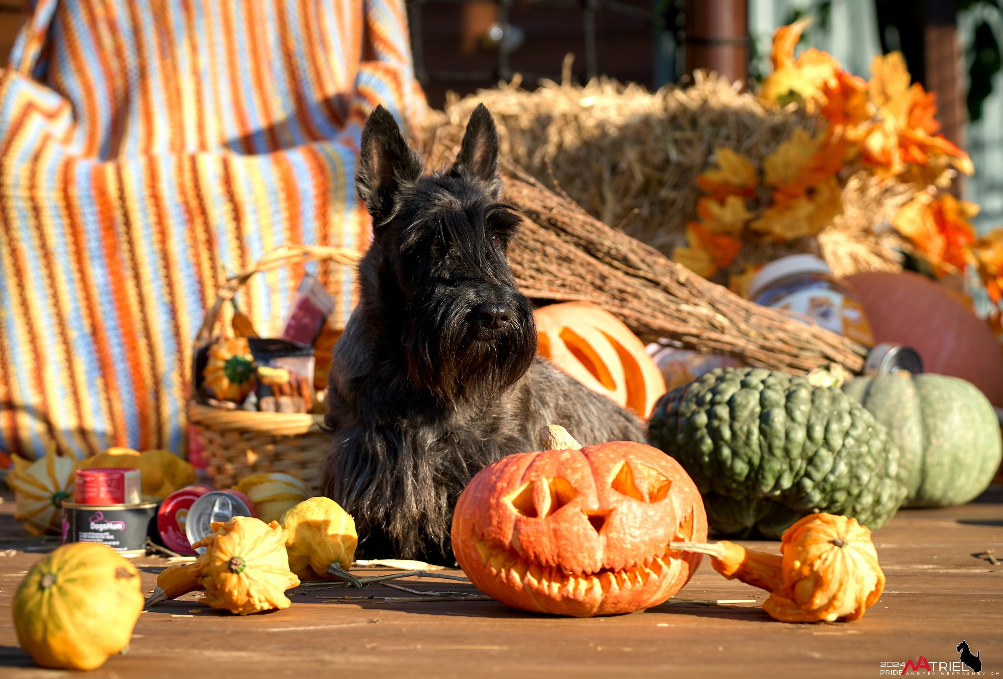 Репортаж со встречи питомника