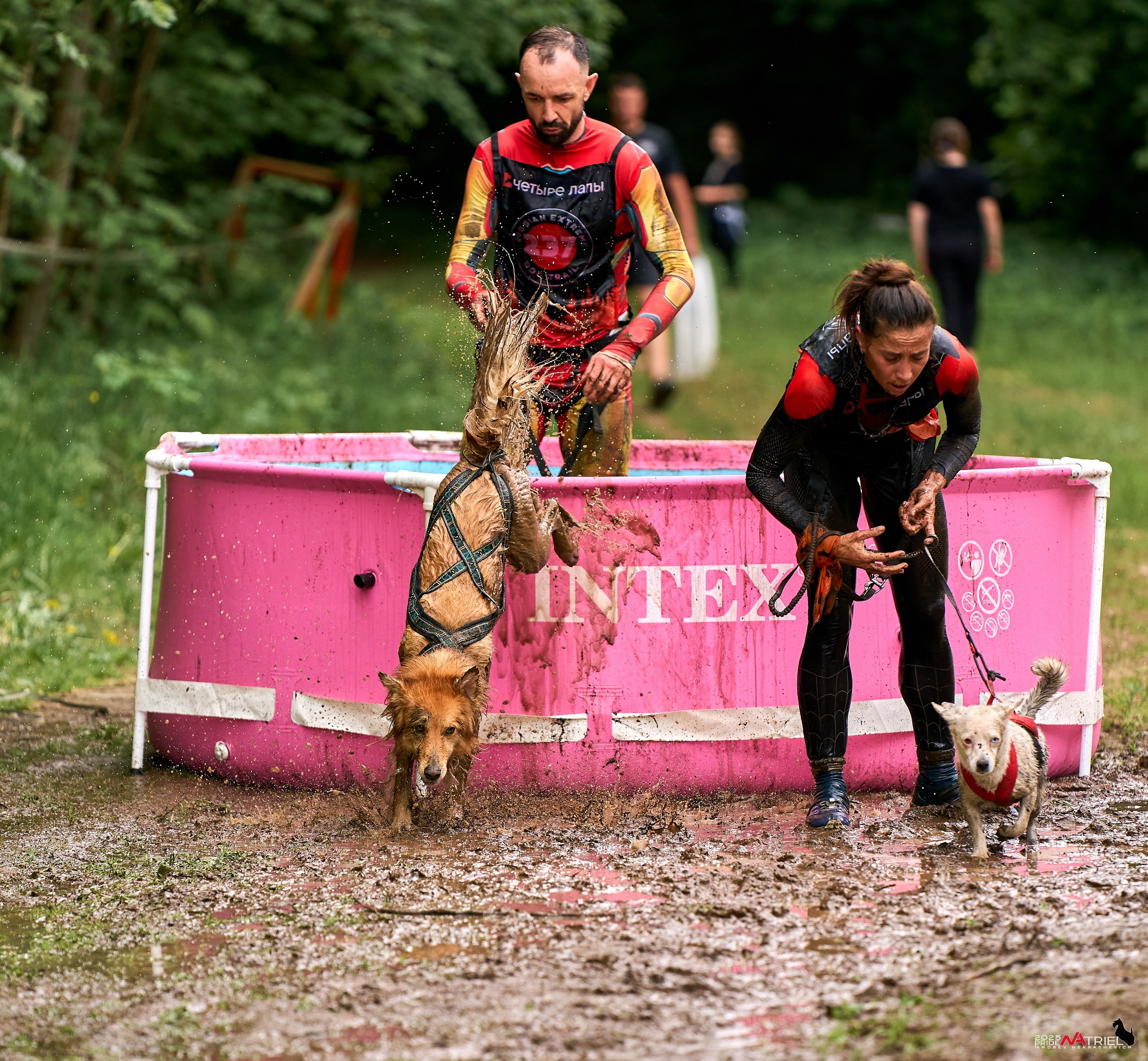 Russian Extreme Dog Trail — 2025