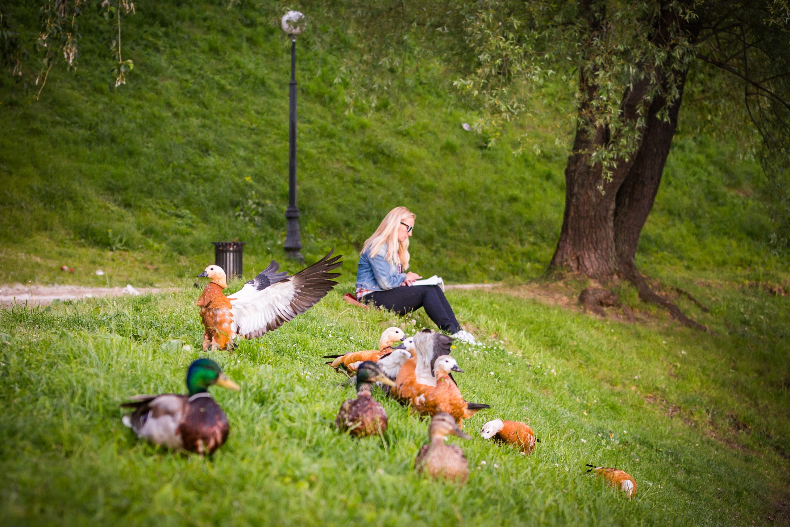 Стрит-фотография — галерея NATRIEL