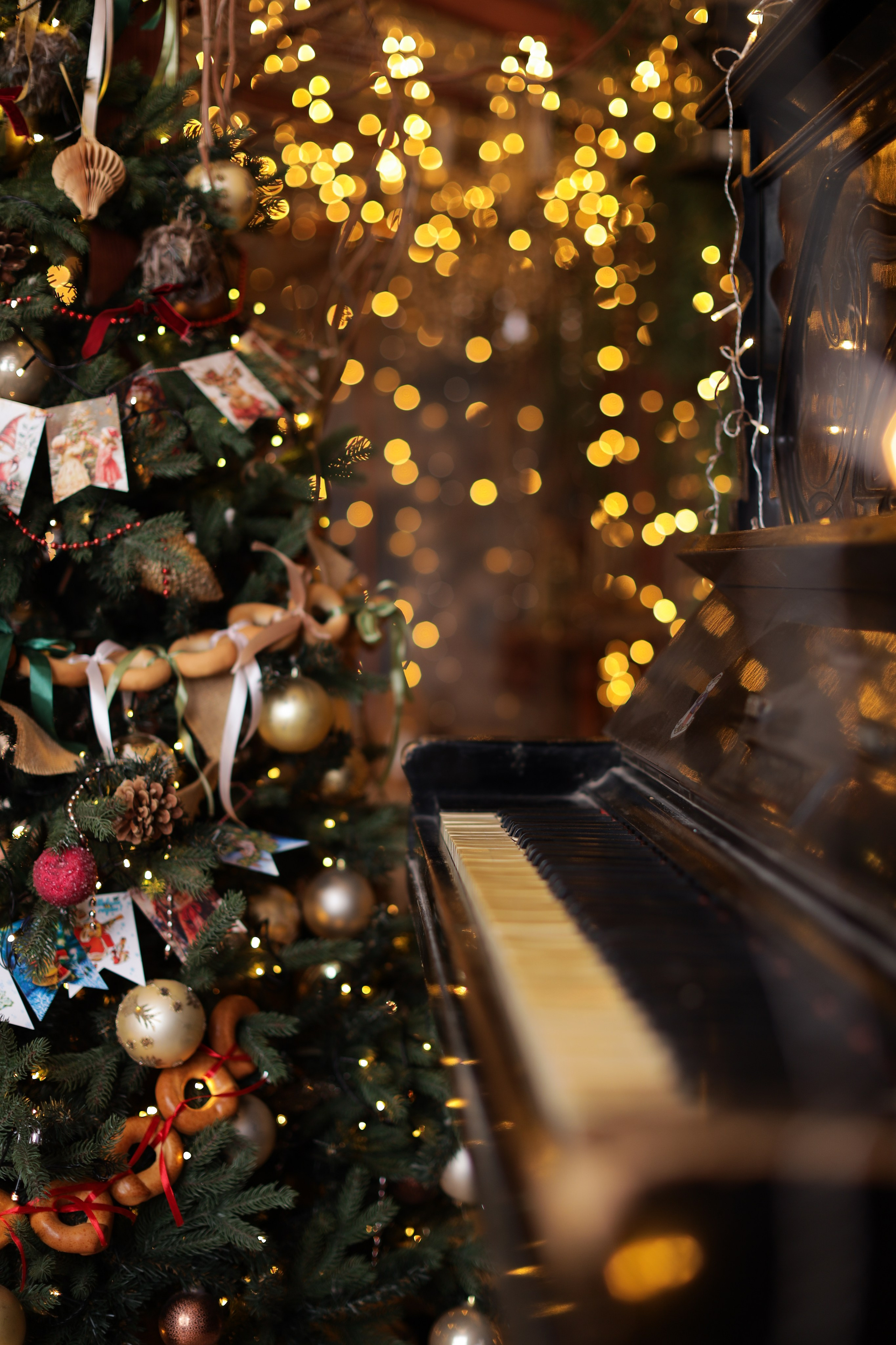 Фотостудия «Роял» зал Теплица. Свадебный фотограф в Ростове Александра Груздева