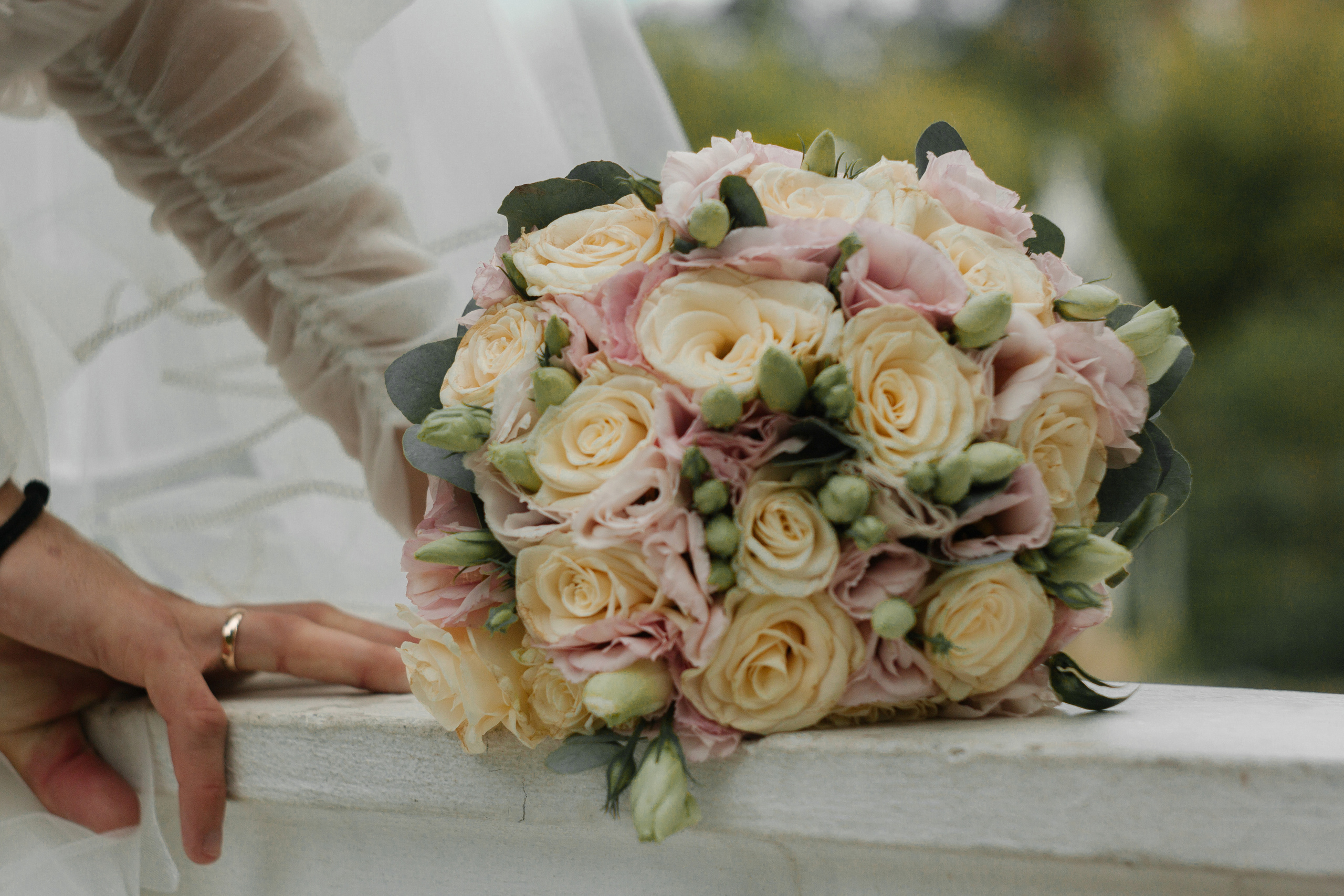 Красивая свадьба в ЗАГСе Адлера и в парке южные культуры. Фотограф в Сочи Тиунова Маргарита и Тиунов Евгений