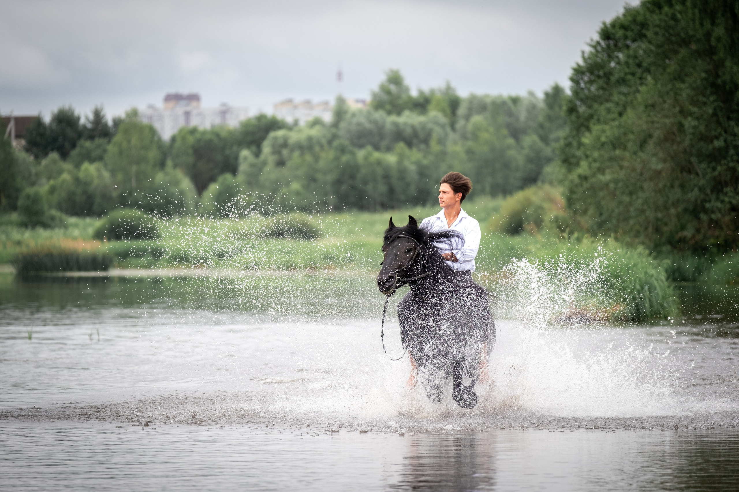 Аванпост, конное ранчо. Зоофотограф, фотограф животных в Москве и области Дина Дамоцева