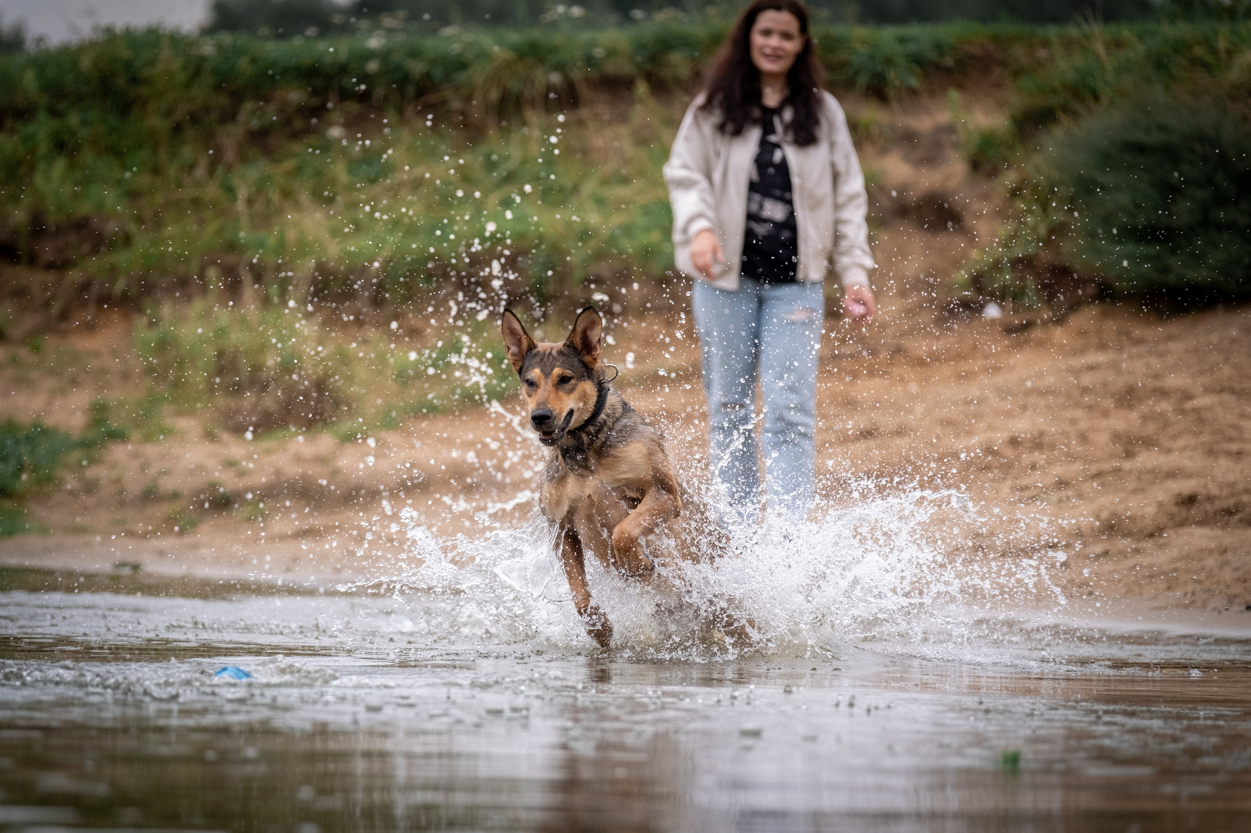 Надя и Луна. Зоофотограф, фотограф животных в Москве и области Дина Дамоцева